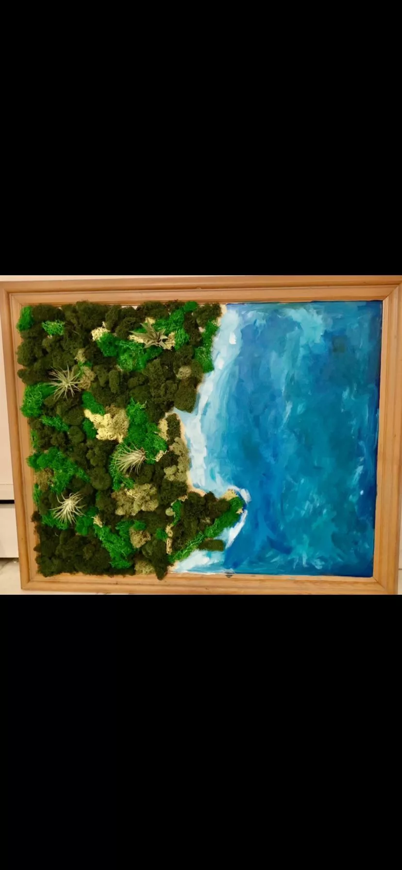 made this moss art for my parents this past Christmas🌱🪴 this is the coast line of north shore MA and New Hampshire seacoast 🌊 many of my best memories in this area ♥️ posted by airmaxbubble