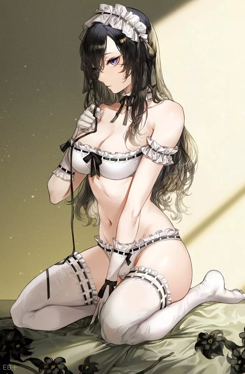 Maid Lingerie posted by CheetahSperm18