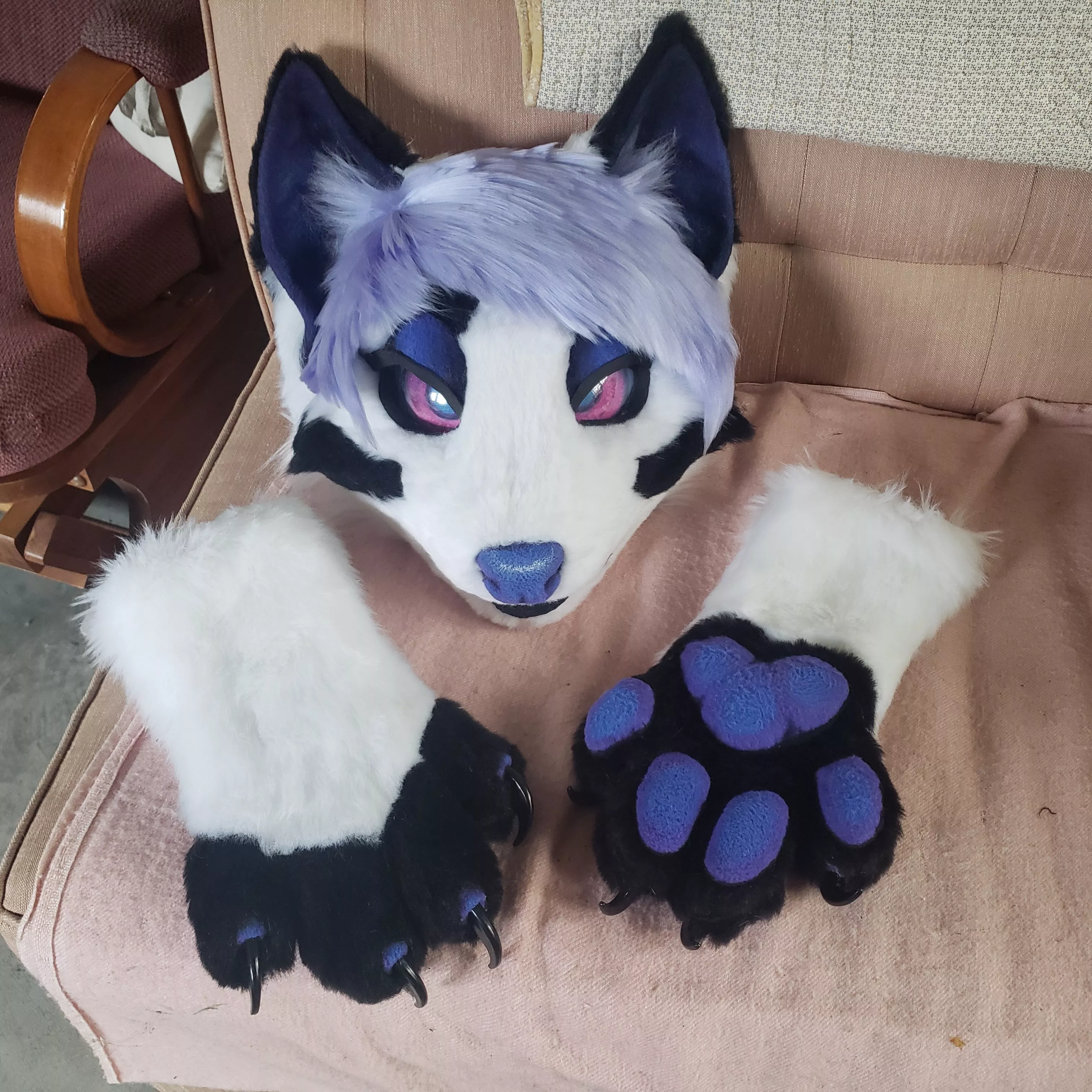 Making my first fursuit :D posted by AharFox