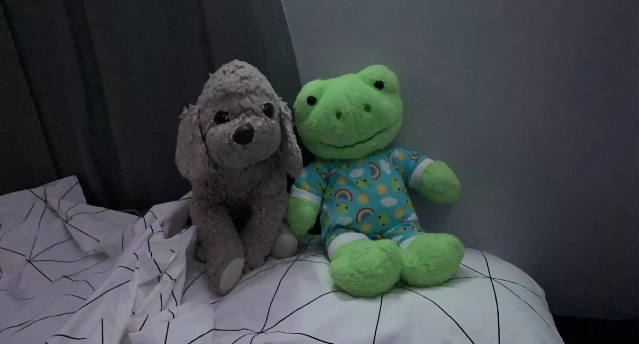 makka & fwoggie, my favorite stuffies <3 posted by OutlandishnessOld723