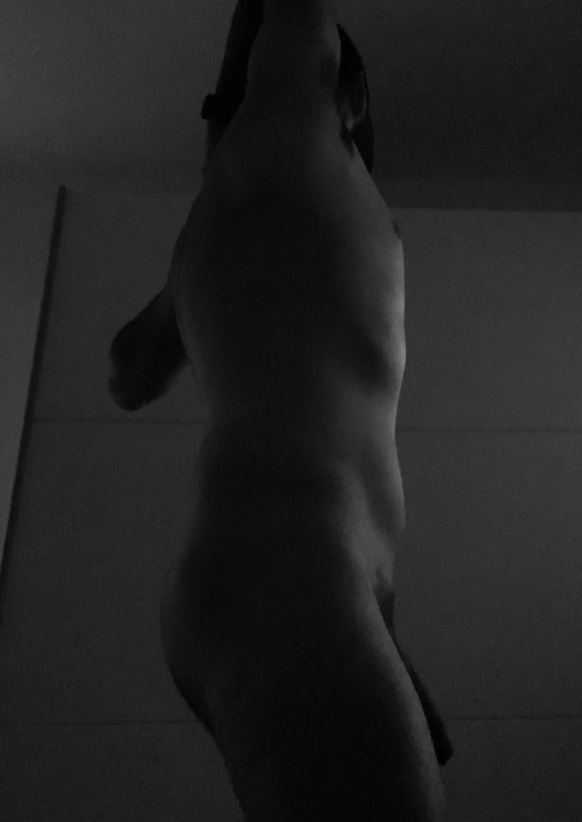 [male] morning stretch posted by elidedom