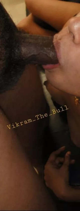 Mandarory blow jobs during encounters. Bull session for a matured South Indian cuck's wife. posted by vikramthebull