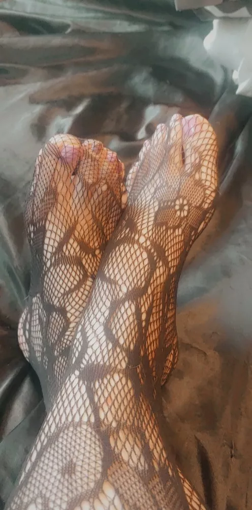 Manicured toes in lace posted by crystalcolette