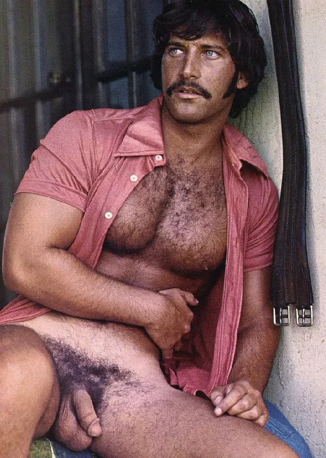 â€œMarty Wolfson - Playgirl - Nov 1977â€ â€¦ posted by neilfromsydney2003