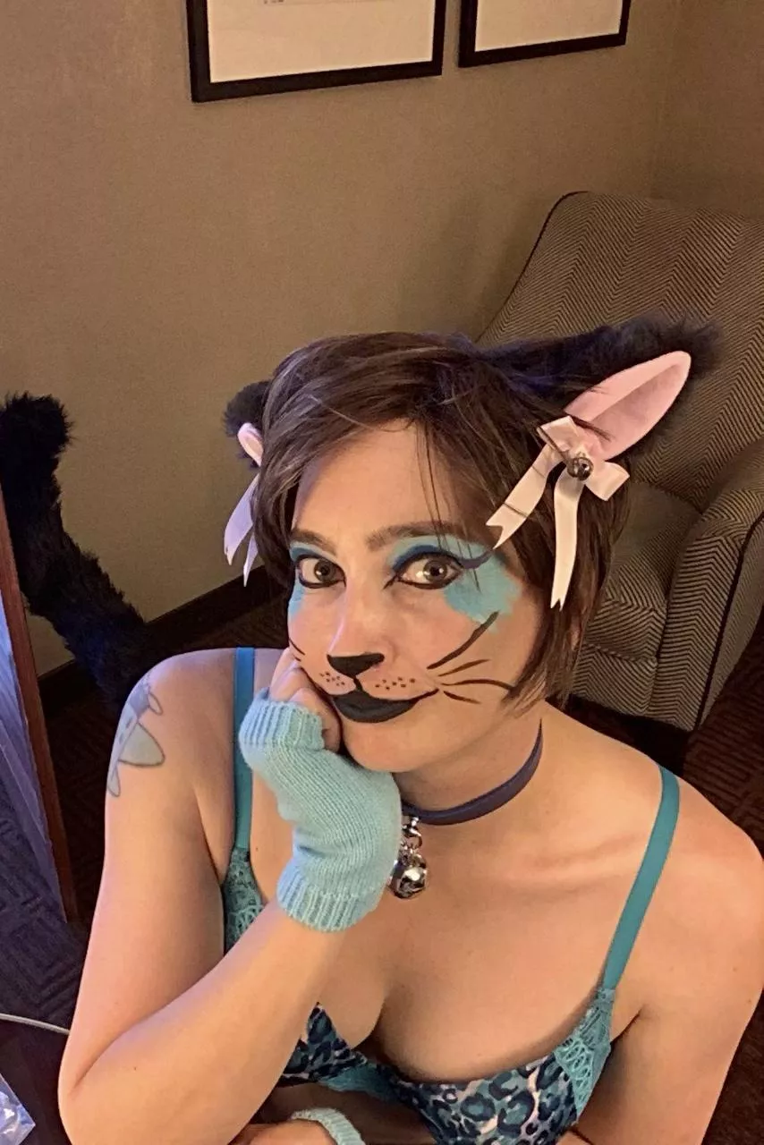 Mature and mischievous, sensual and silly, this kitty knows meow to play! 😸 posted by sassypantsmewmew