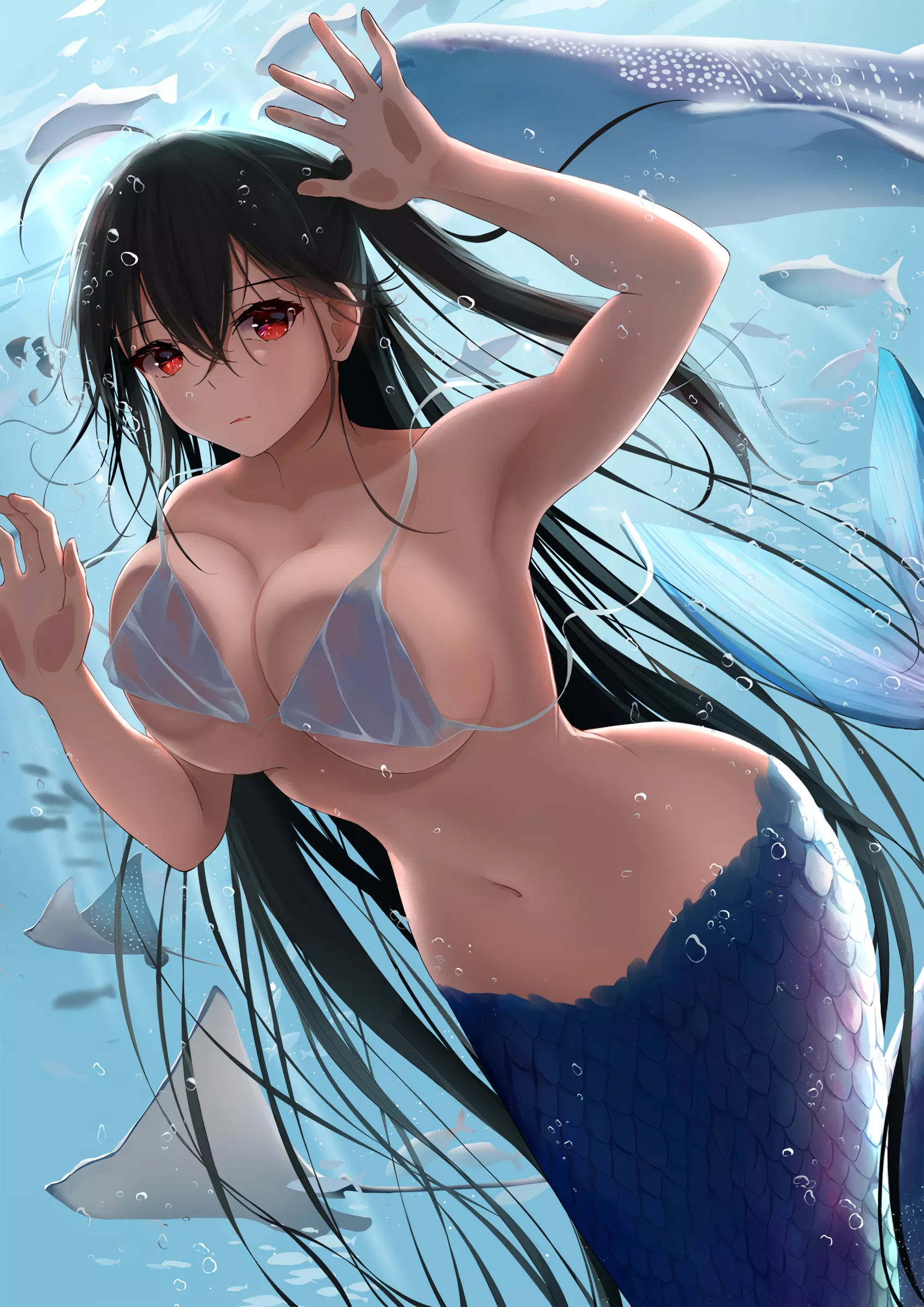 Mermaid Taihou in the aquarium (しがつ) [Azur Lane] posted by elegantloveglimmer