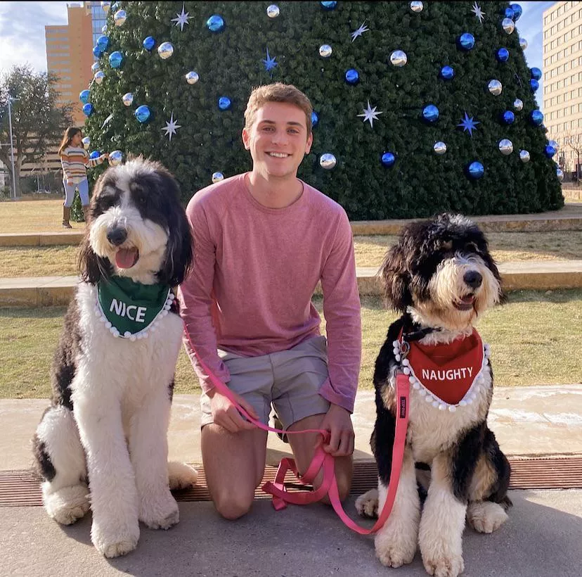 Merry Christmas from a single dad and his doggies posted by Schelineallyan