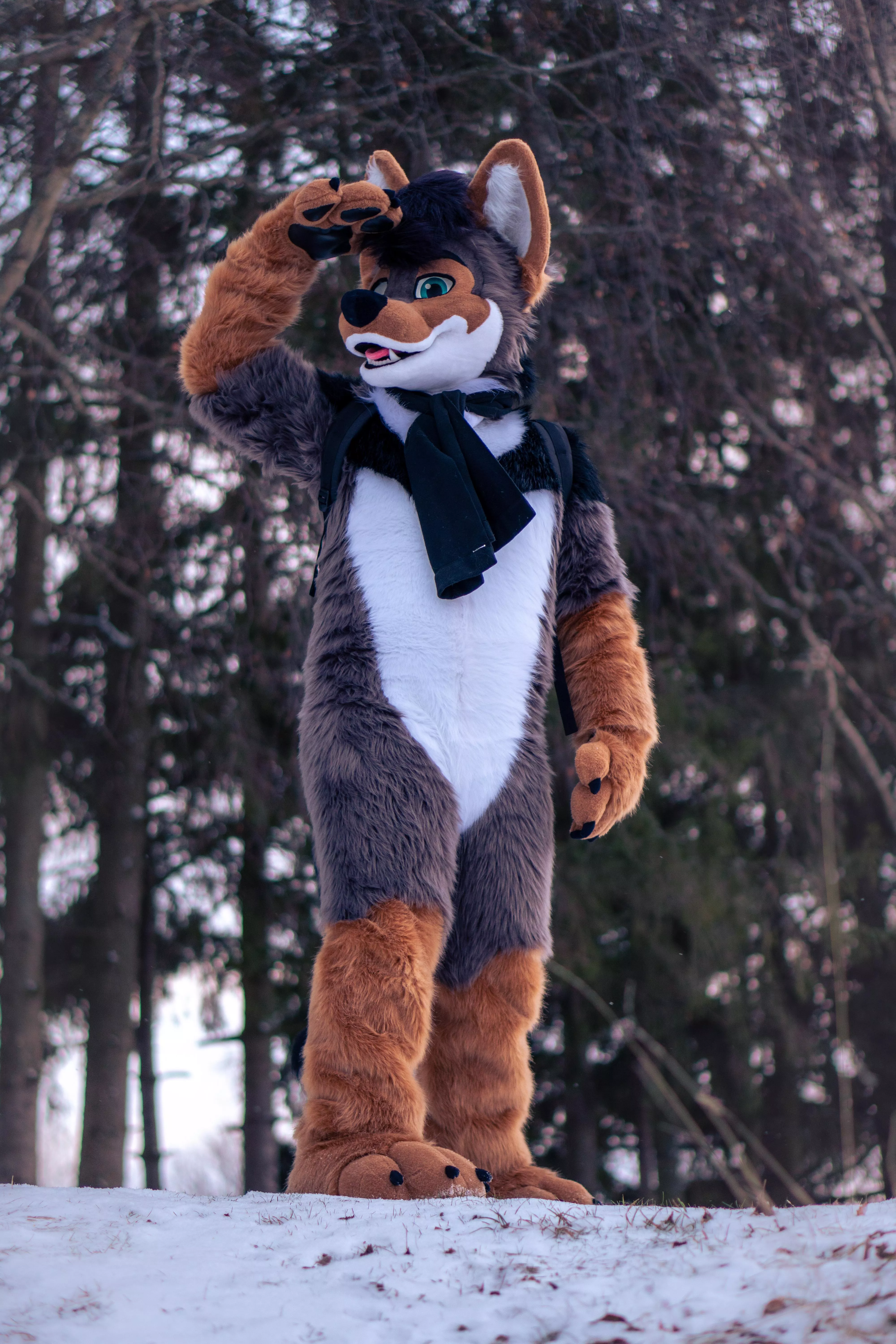 Merry Christmas on this amazing #FursuitFriday ! posted by Lucienshepherd