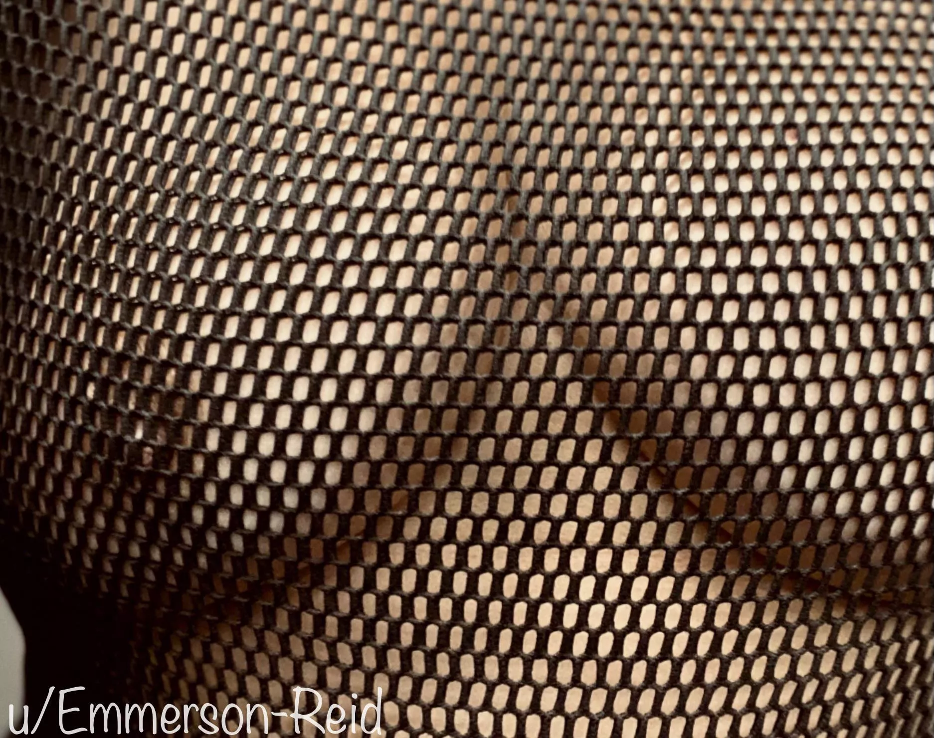 Mesh texture posted by Emmerson-Reid