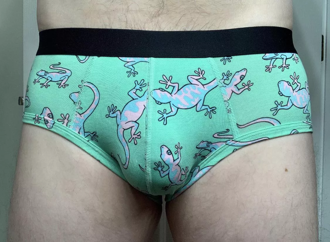 MeUndies - Briefs posted by TWCanadian