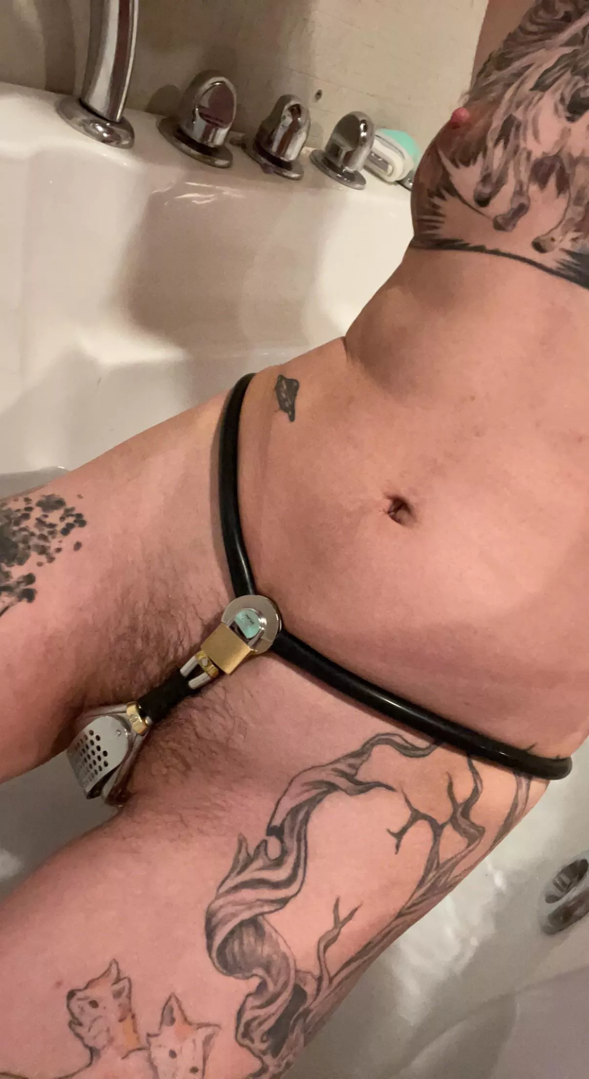 Miss has my keys locked away, so it’s belted bath time. (He/him) posted by puppy_dex