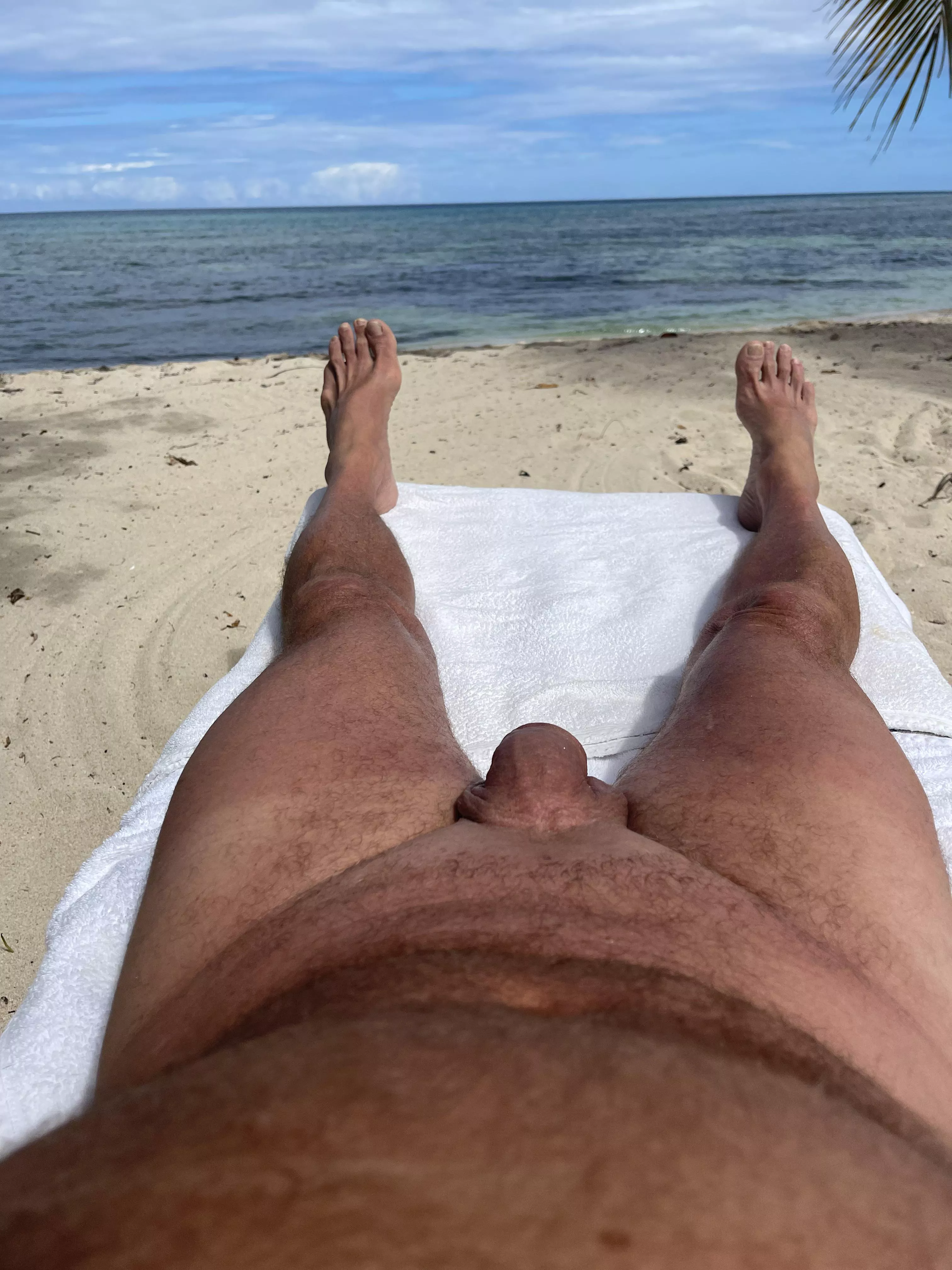 Montego Bay in February is where to go to escape winter and share some nudist moments. posted by are_we_there_now