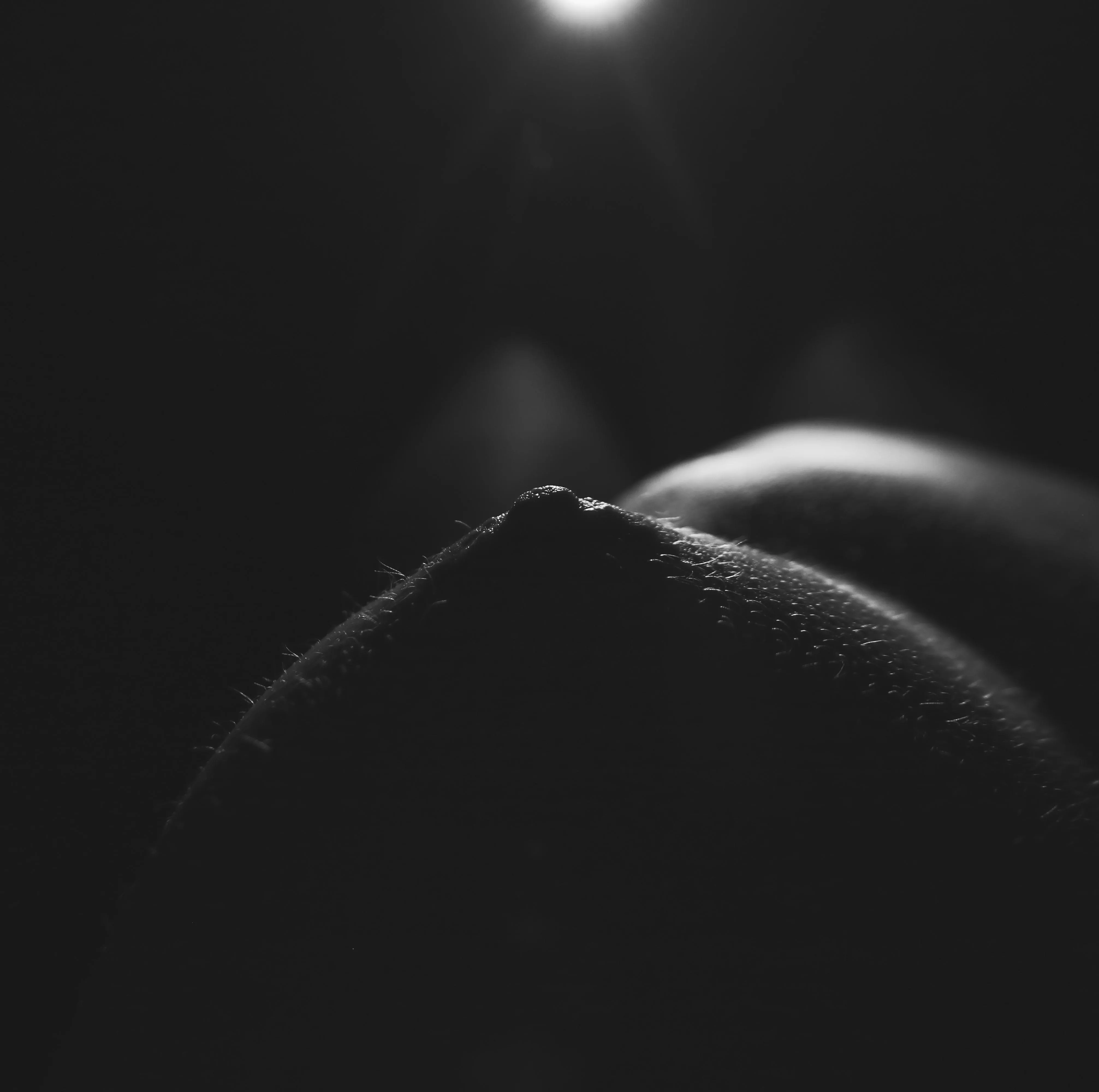 moonlit dunes (self shot) posted by _creature_feature