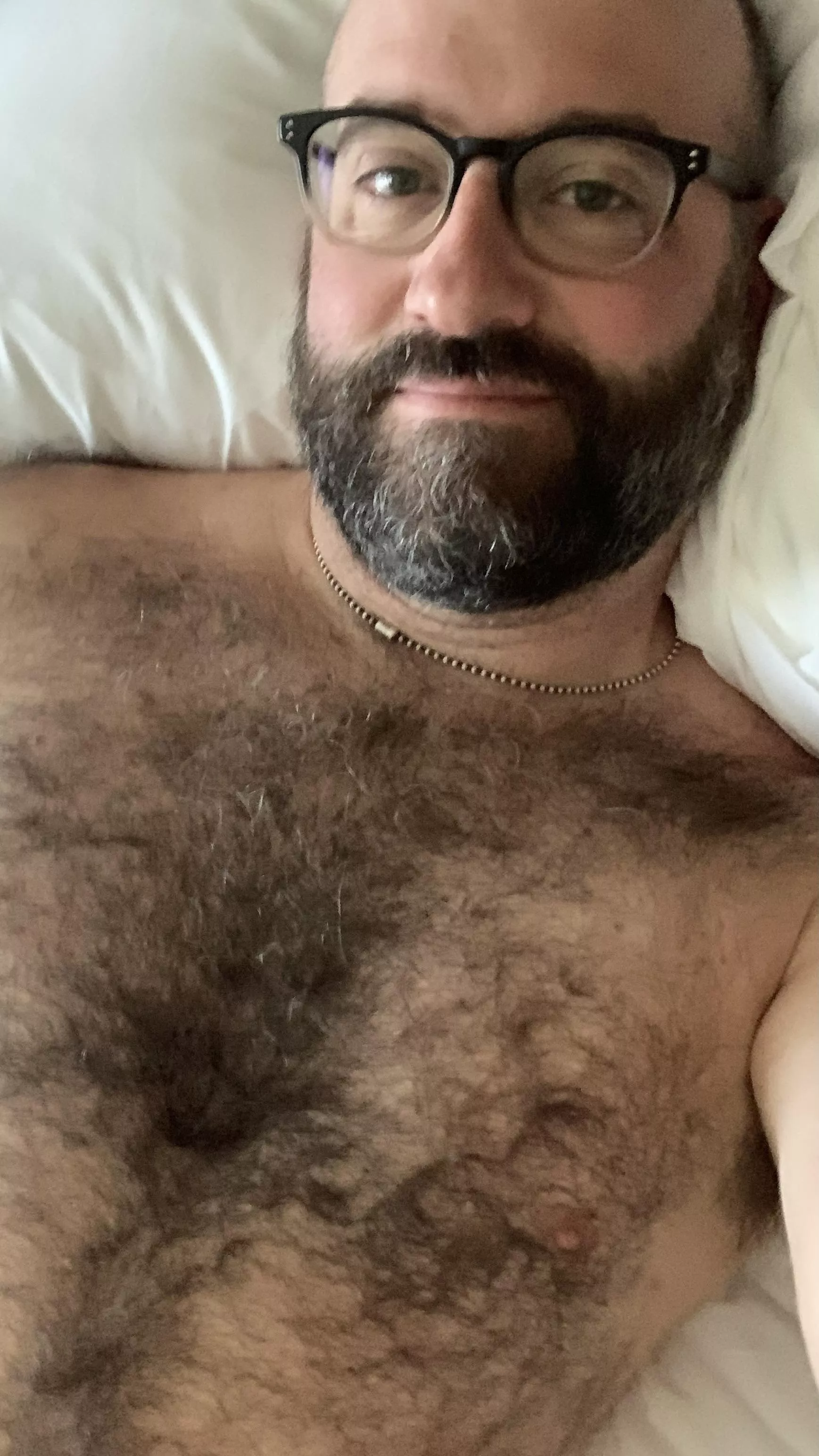 Morning Bear posted by fruitbowlpodcast