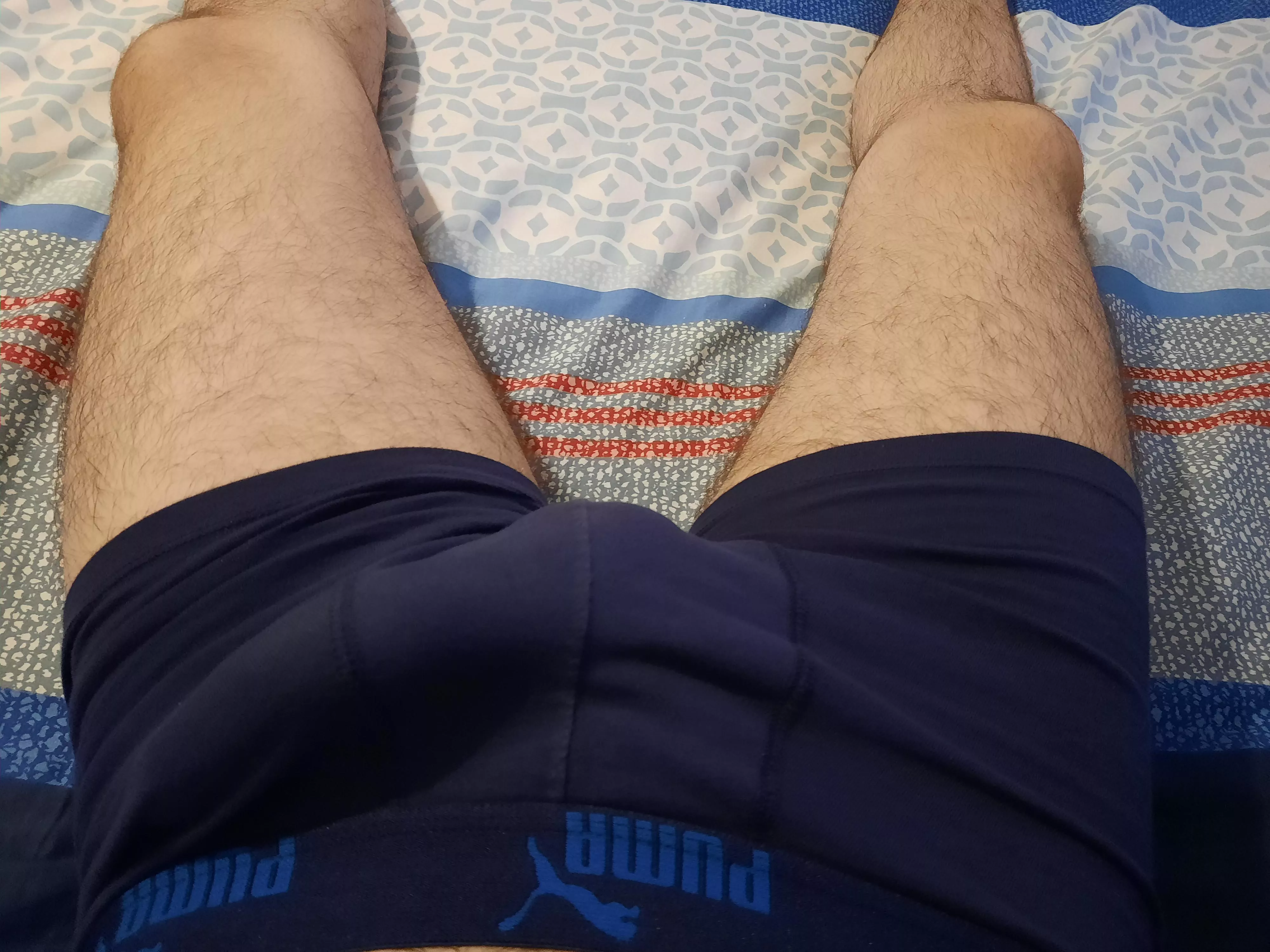 morning bulge posted by phosphoreia