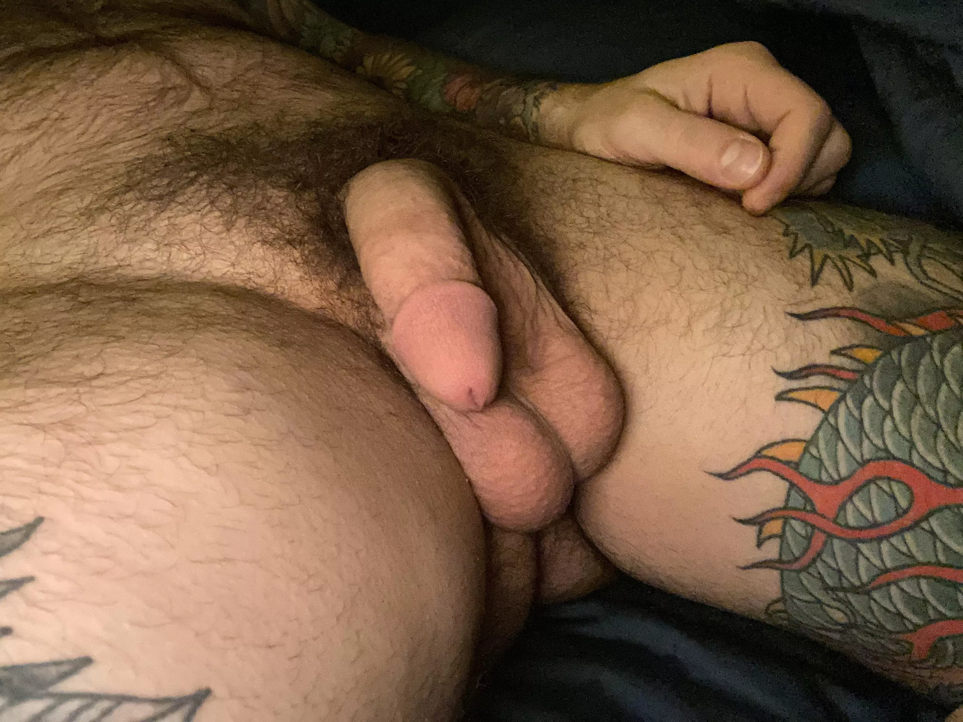 Morning bush posted by PNW_inked