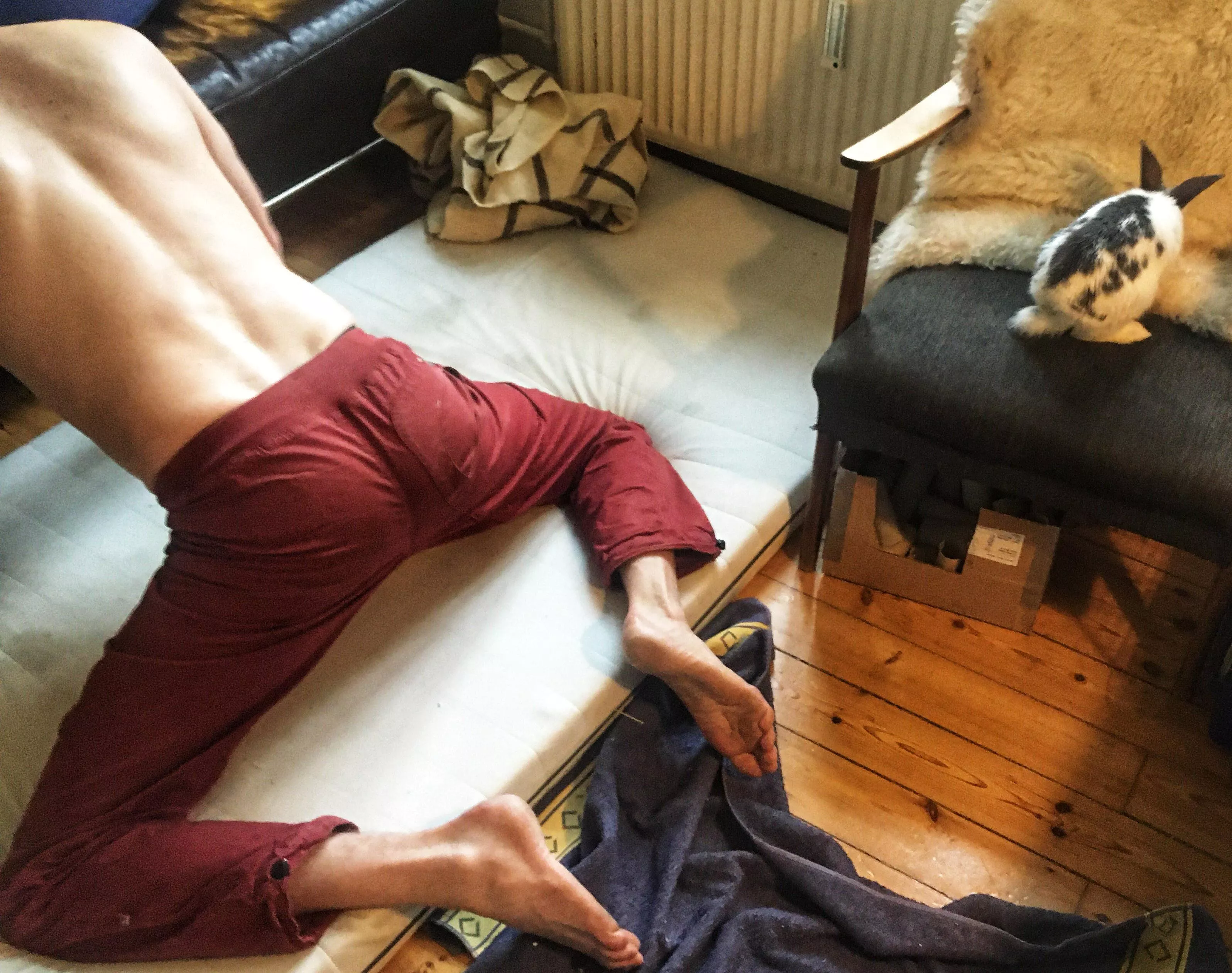 Morning stretch with (m)y bunny posted by ilikeyoualotrightnow