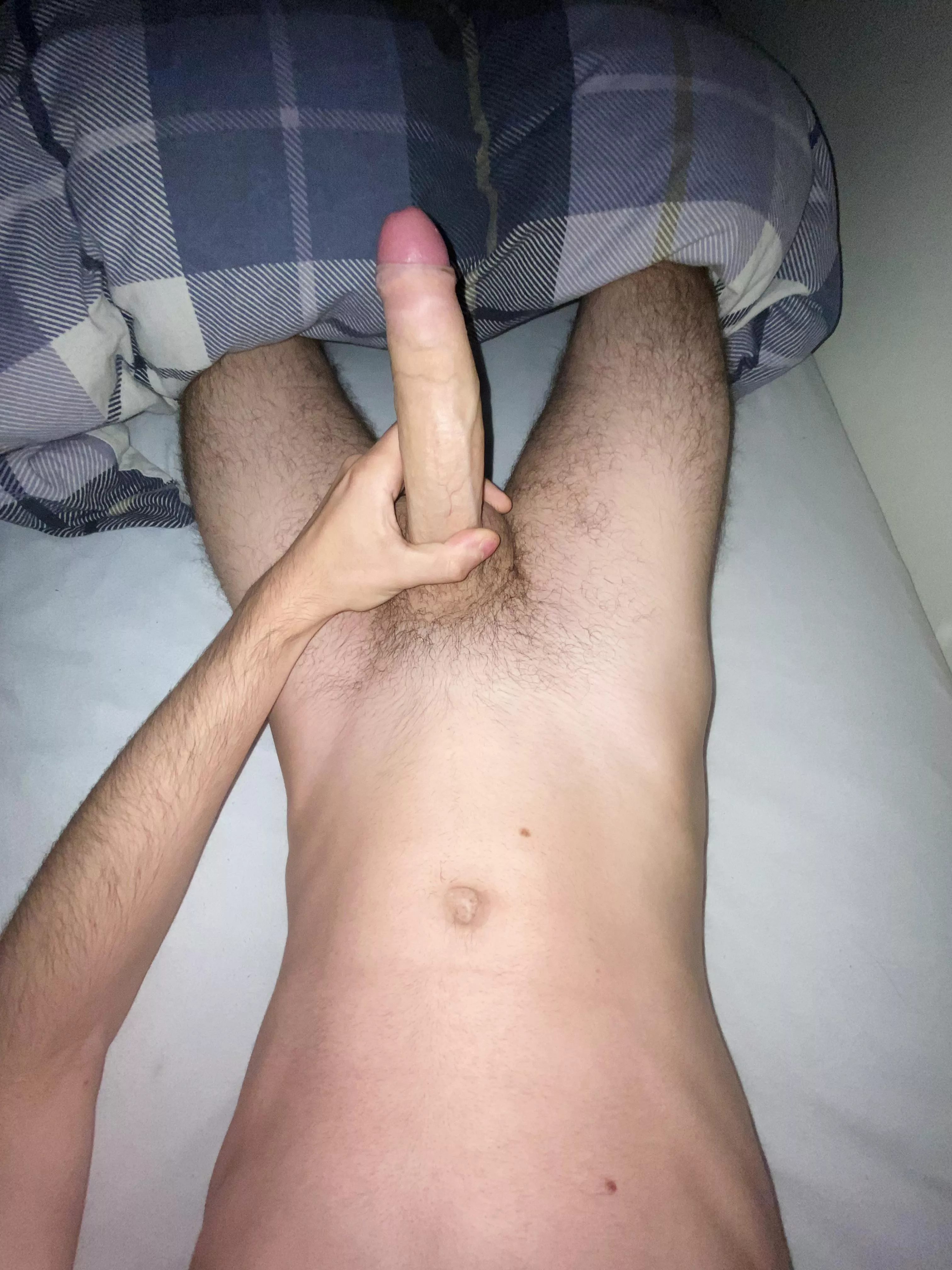 Morning wood time posted by russiancock