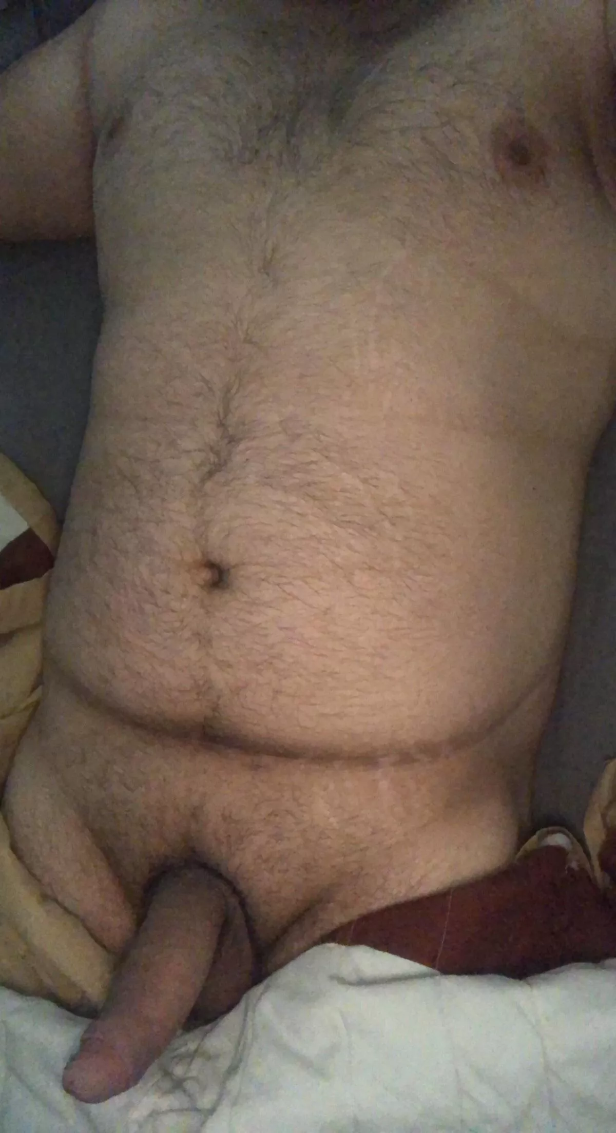 Morning wood waiting posted by GambleStop