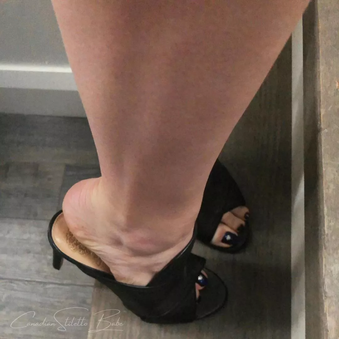 Mules Monday posted by kinkycurvyy