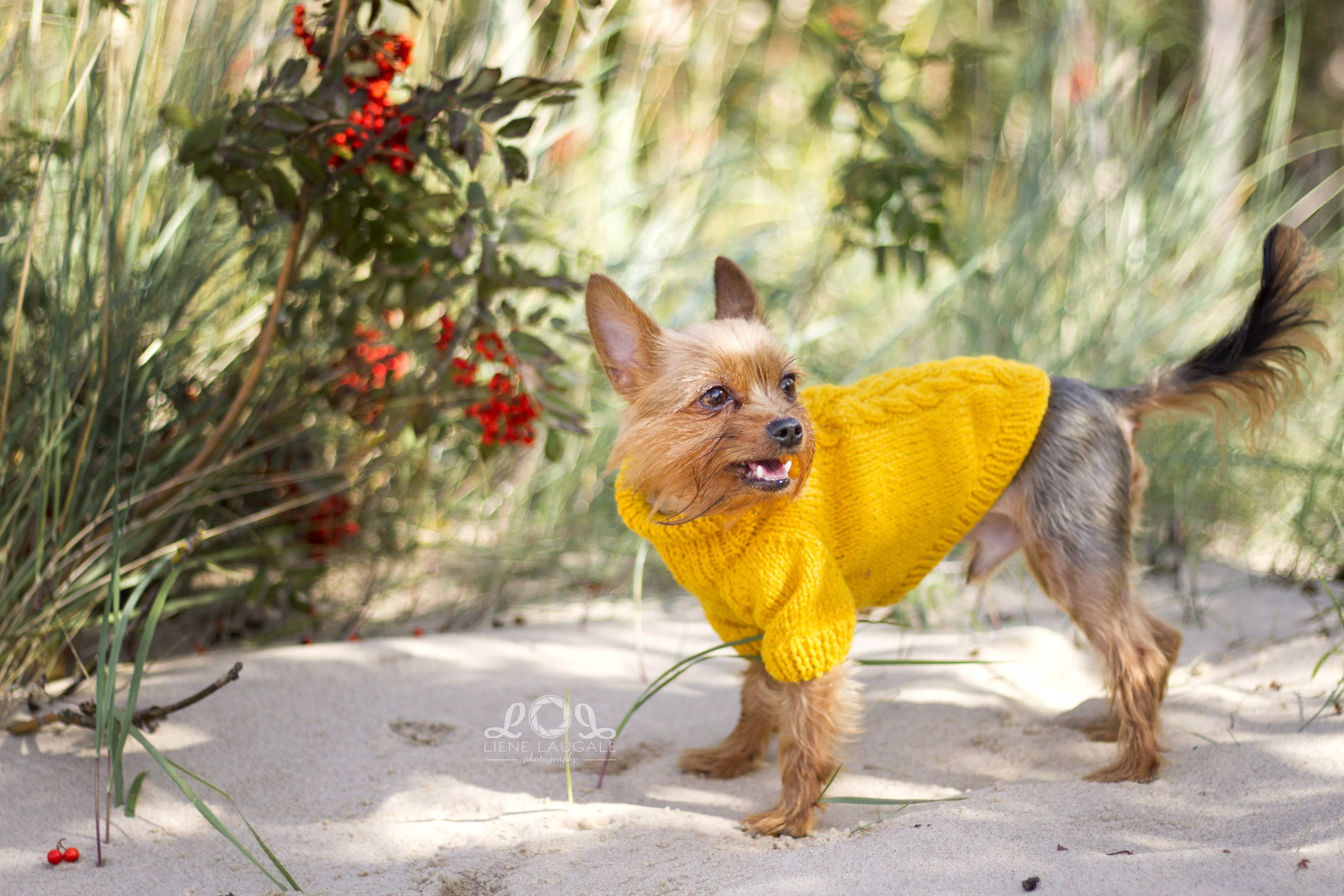 Mustard yellow knitted sweater posted by groupmebaby