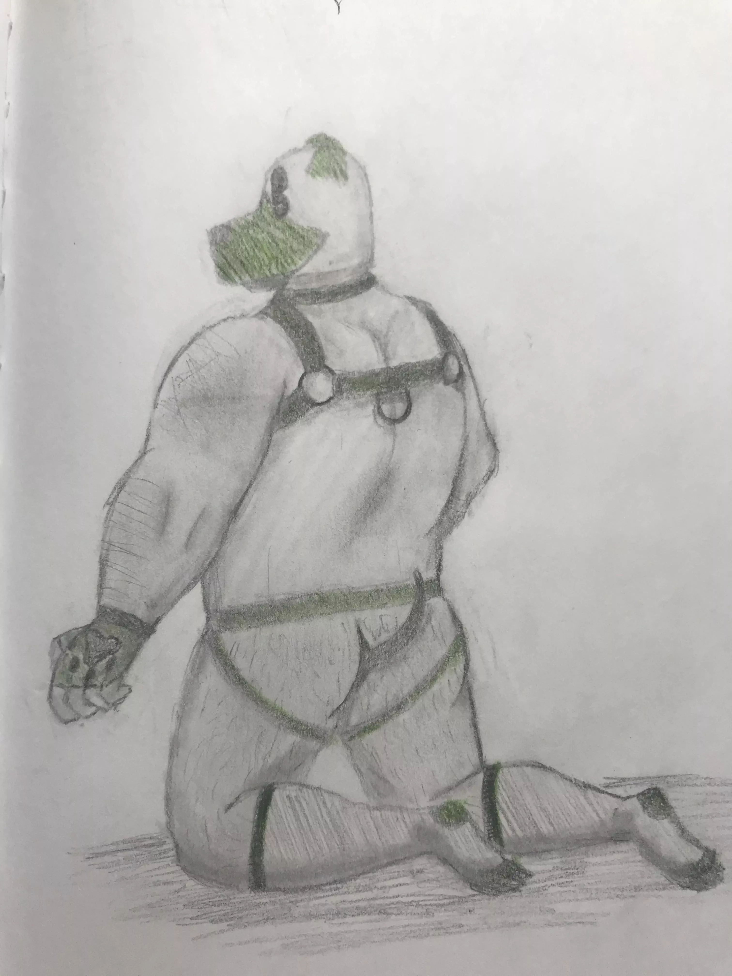 My 5th attempt at drawing bara art. I thought I’d try something kinky and work on backs. I always love criticism. posted by Able-Comedian-9652