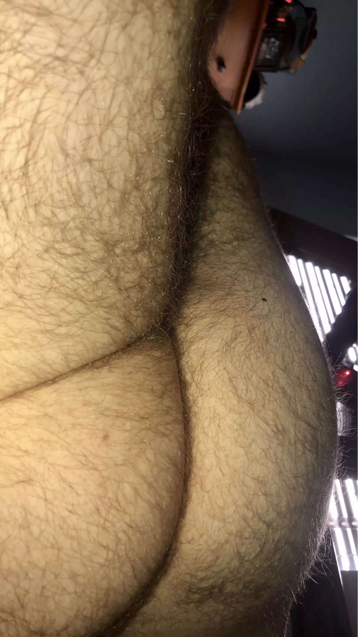 My ass has always been super hairy. (19) posted by AmericanTrollToll