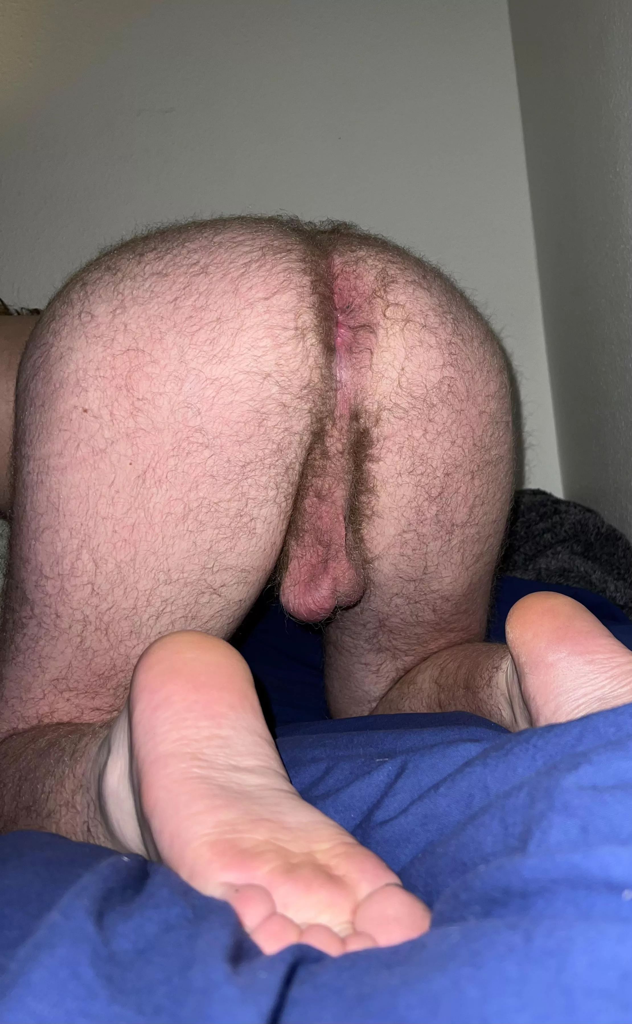 My ass is ready to please you posted by dondup3