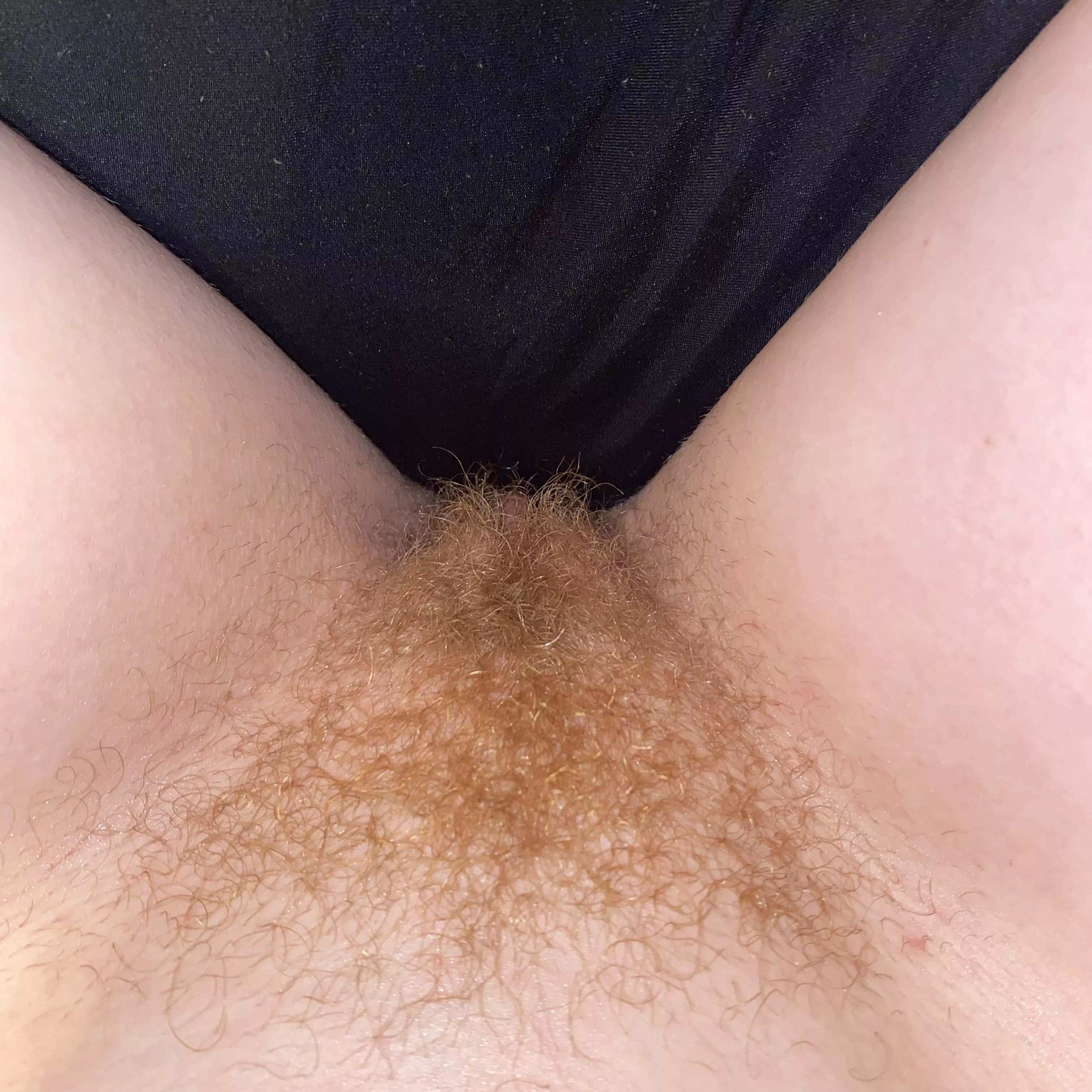 My bf wants me to shave :( posted by Redxxxsuede