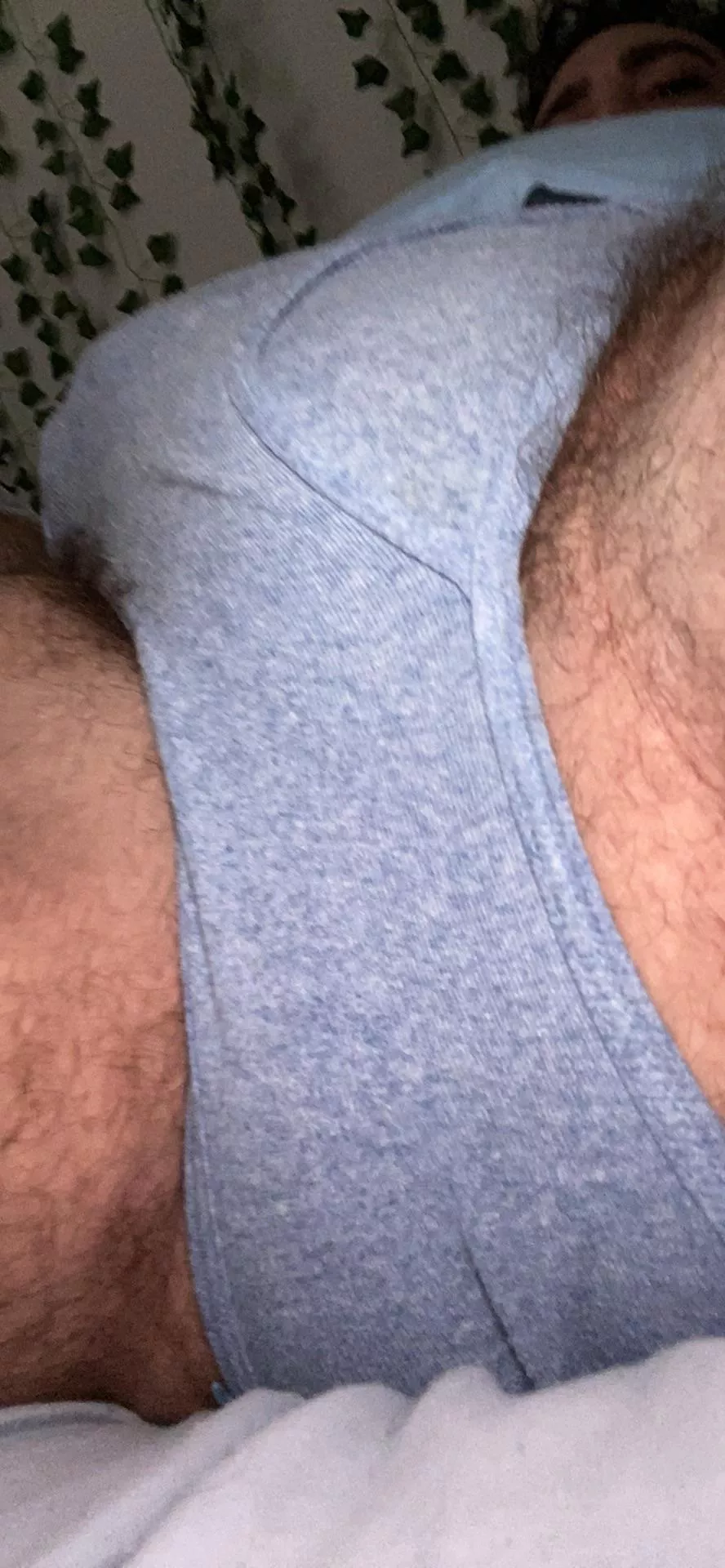 my briefs are sweaty posted by gaynhairy123