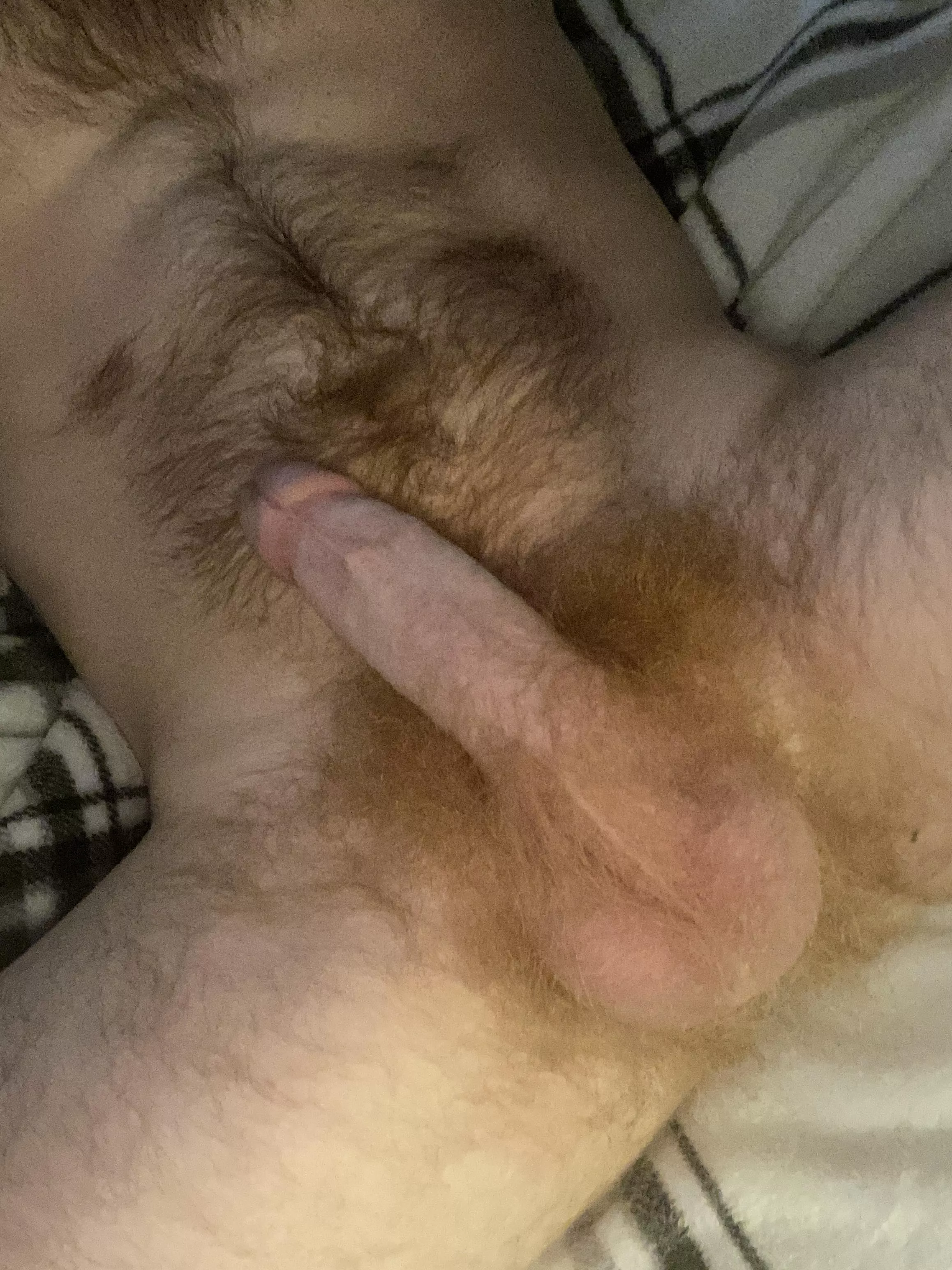 My bush is getting unruly. Thanks to those who sort by new ;) posted by gingerman3