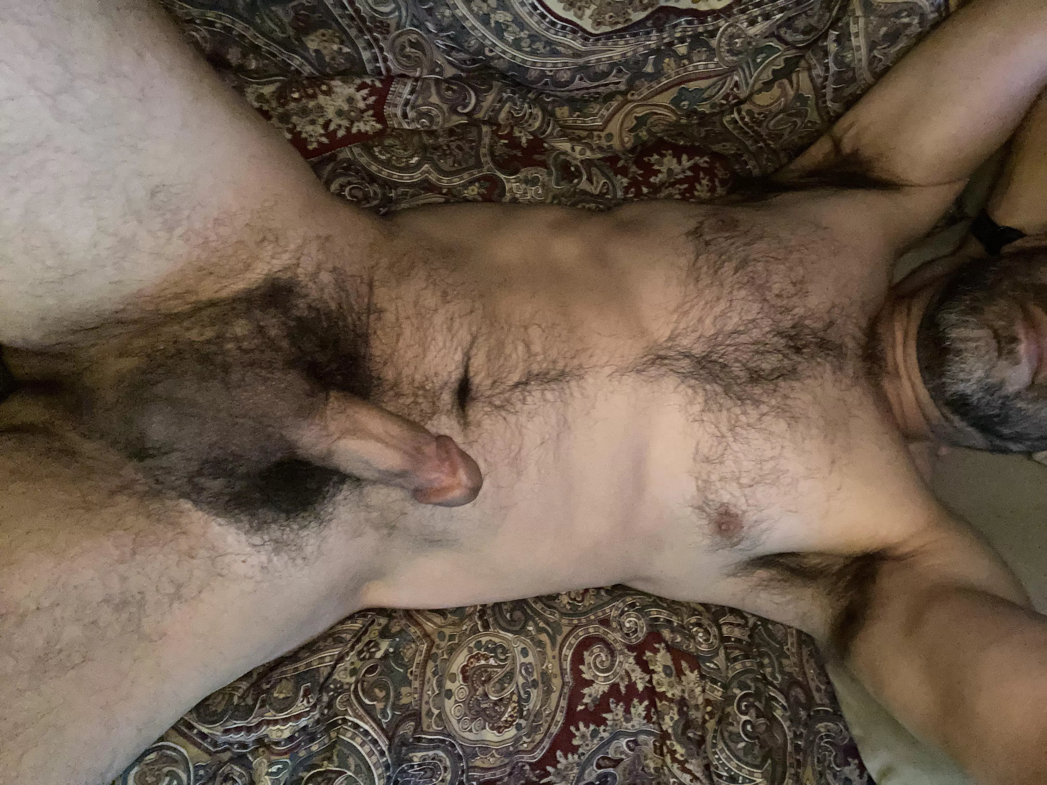 My bushy pubes…you like? posted by Curious1Eastcoast