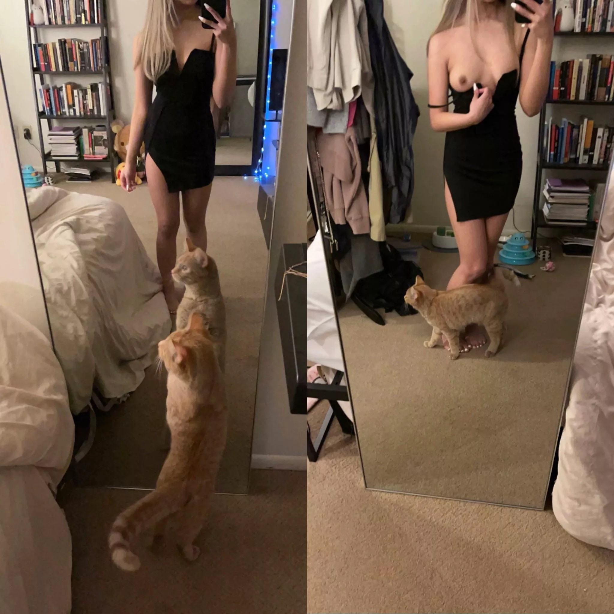 my cat is always trying to stop me from being a hoe posted by sweetbabycoconut