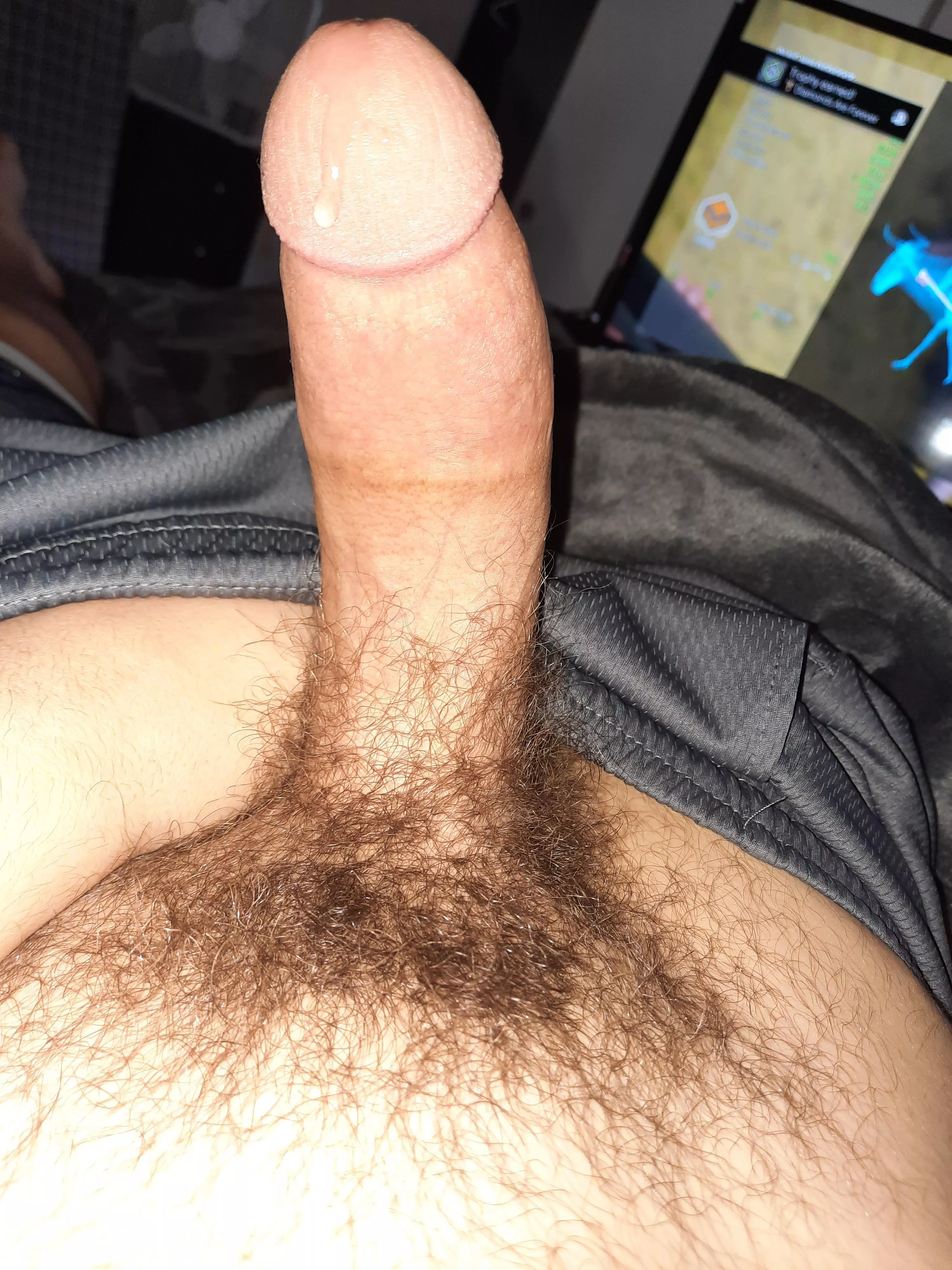 My cock before I decided to shave. Should I grow it out again? posted by magnitude120