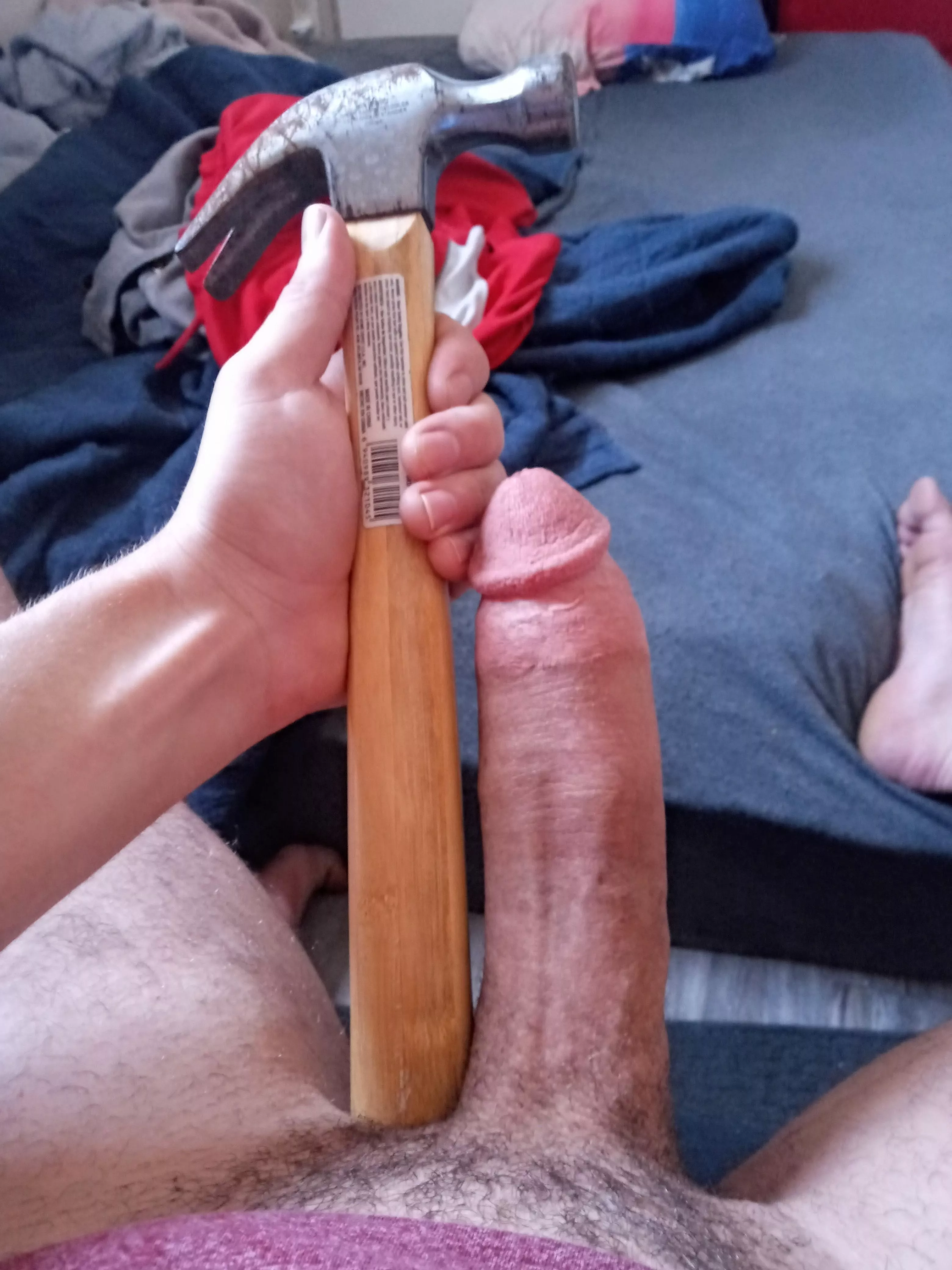 My cock beside a hammer posted by apartment4sublease_