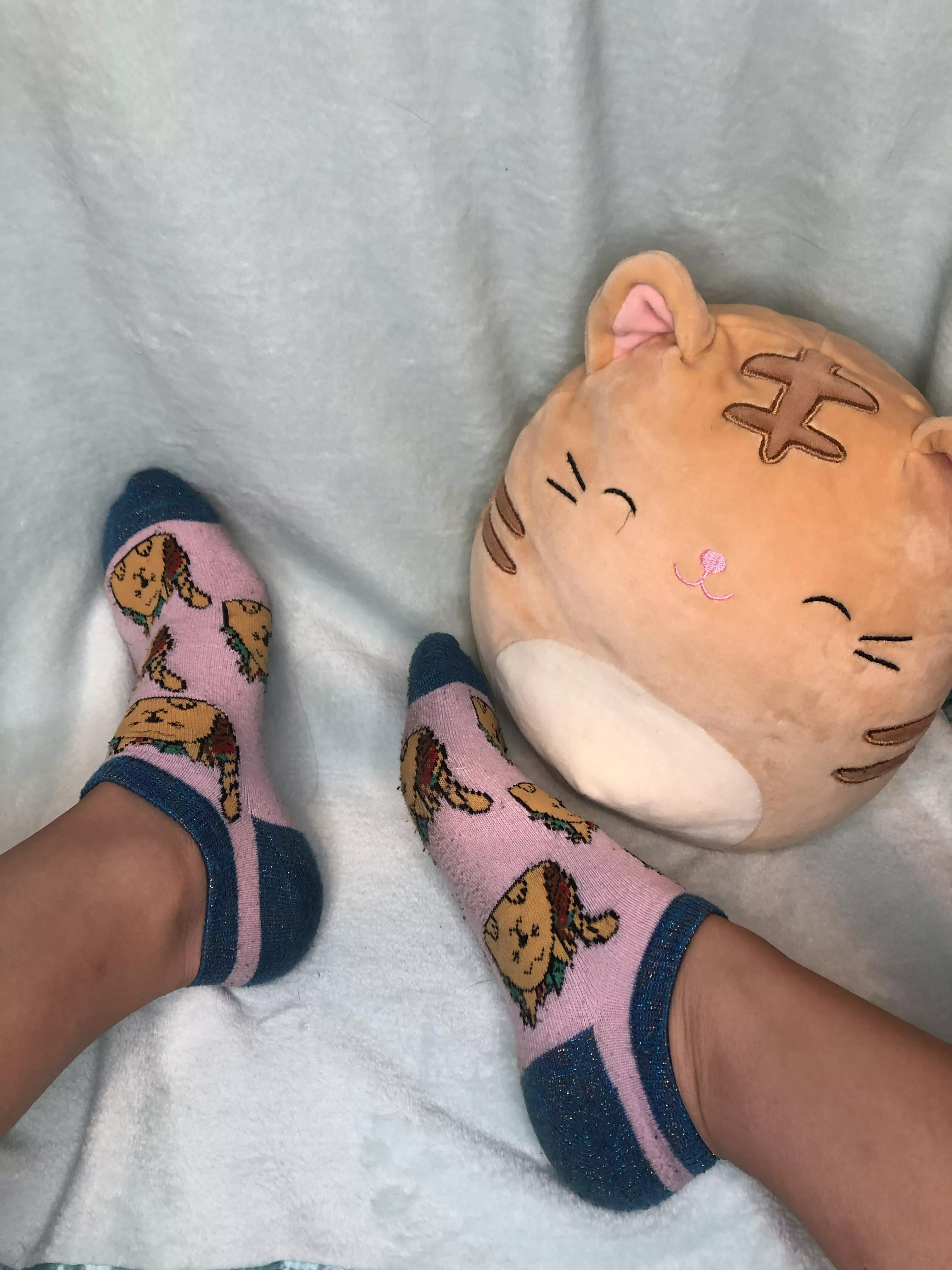 My cute sweaty cat socks 😻💦🧦 who wants to worship them? DM me if interested in purchasing💕😼 posted by tiptoe_kitty