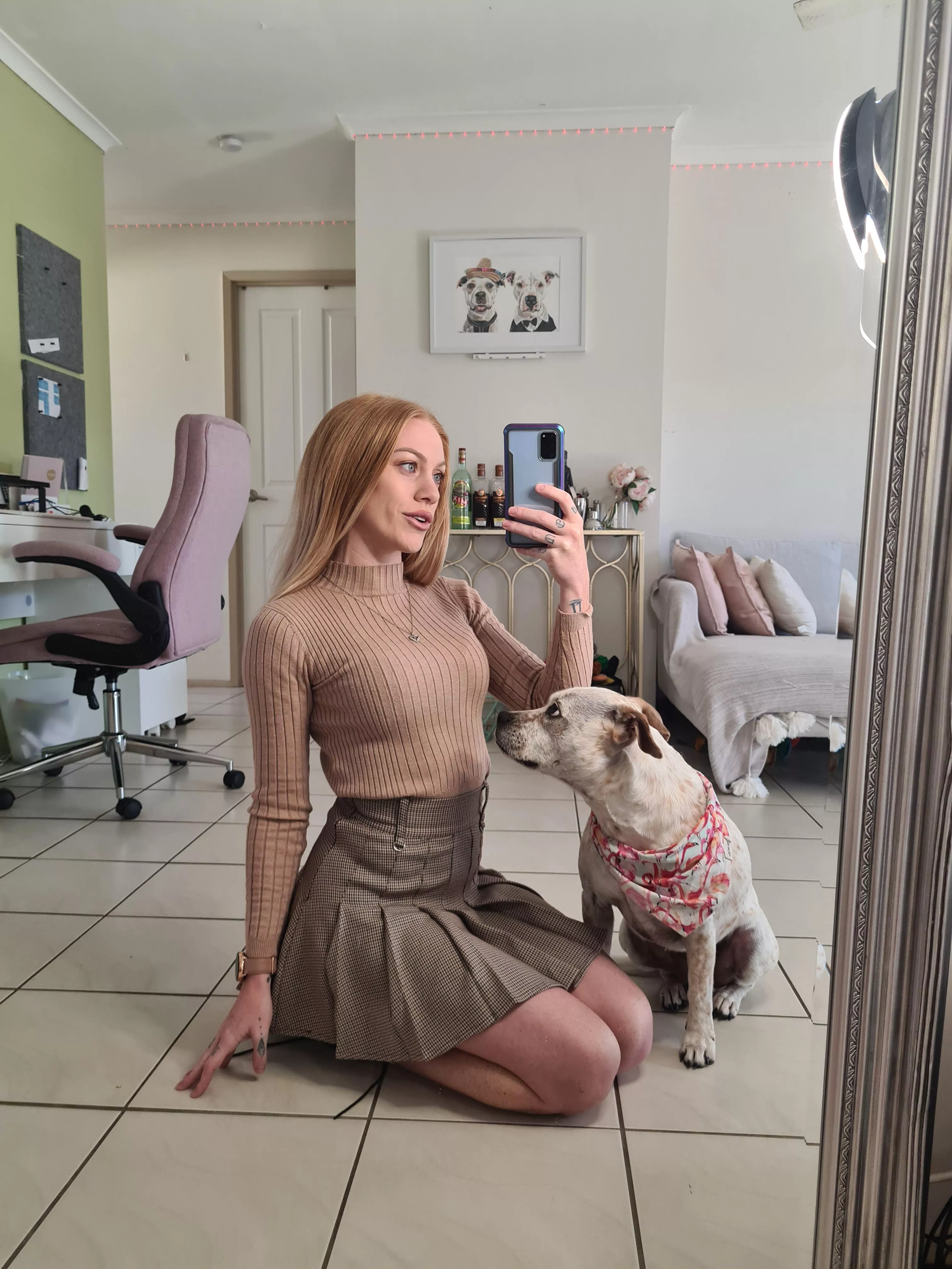 My dog and I really like our new mirror posted by callieluvyuu