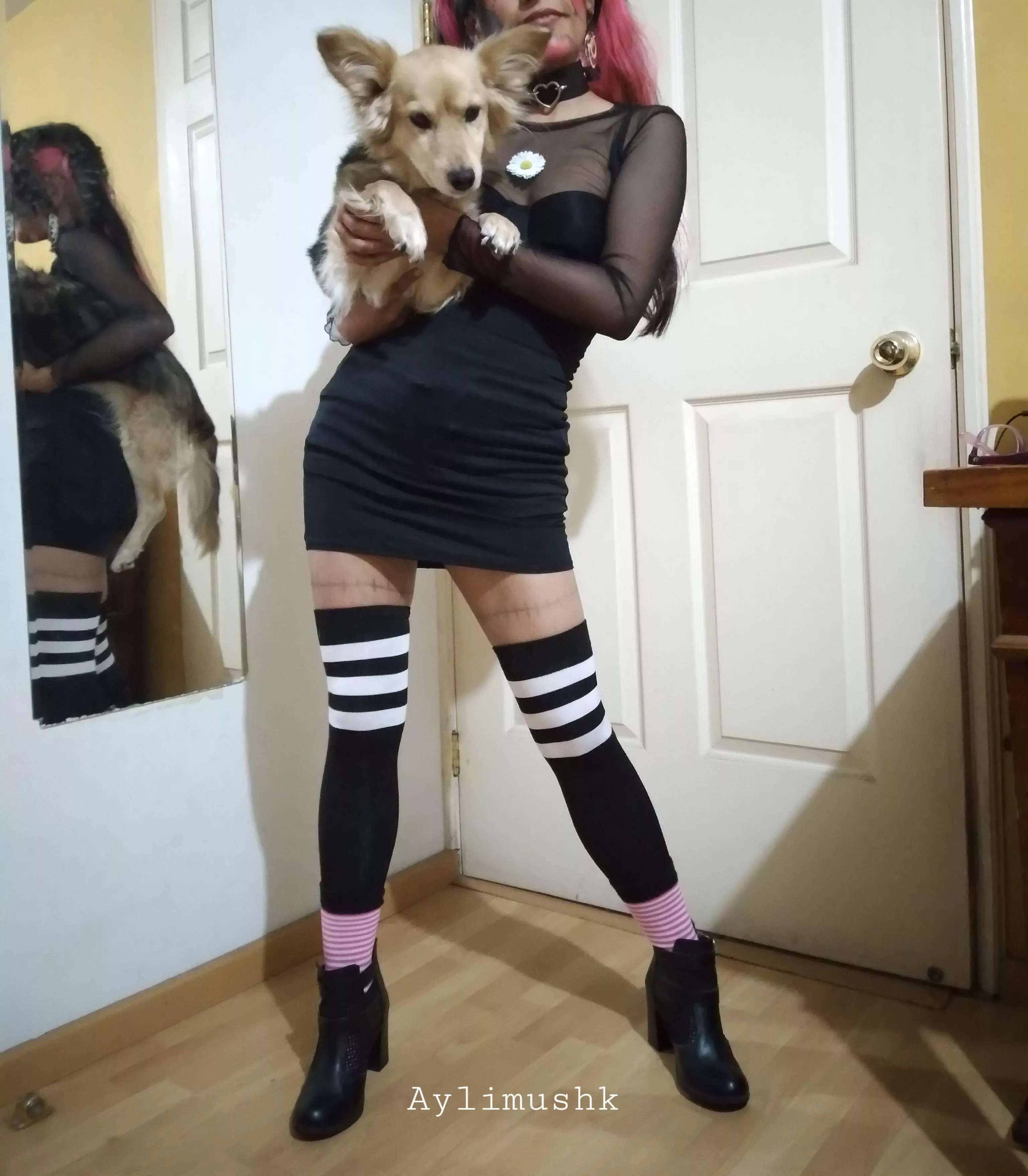 My doggo was part of my revealing outfit for halloween. posted by aylimushk