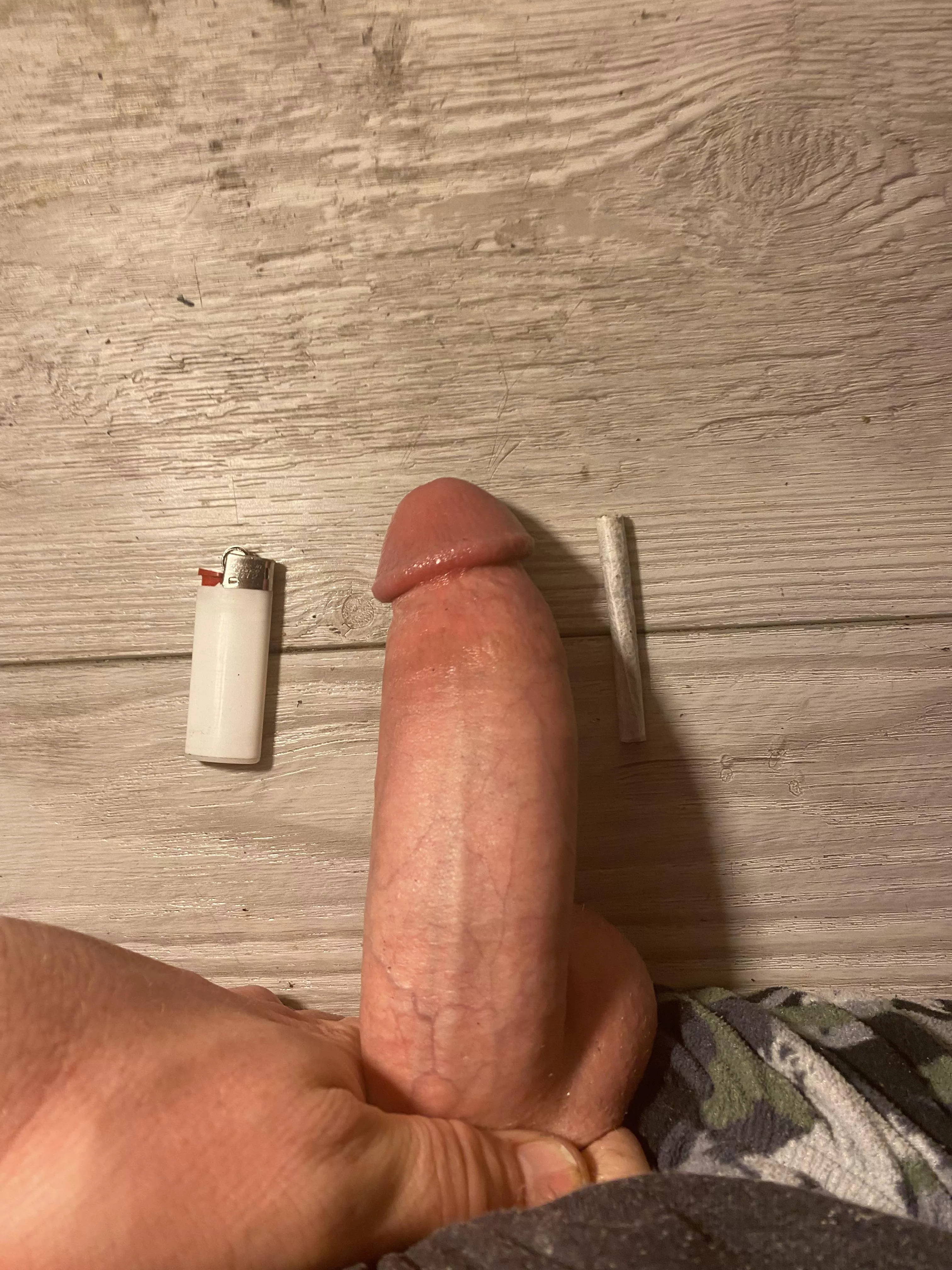 [M]y evening plans, wanna join? [31] posted by Canadome