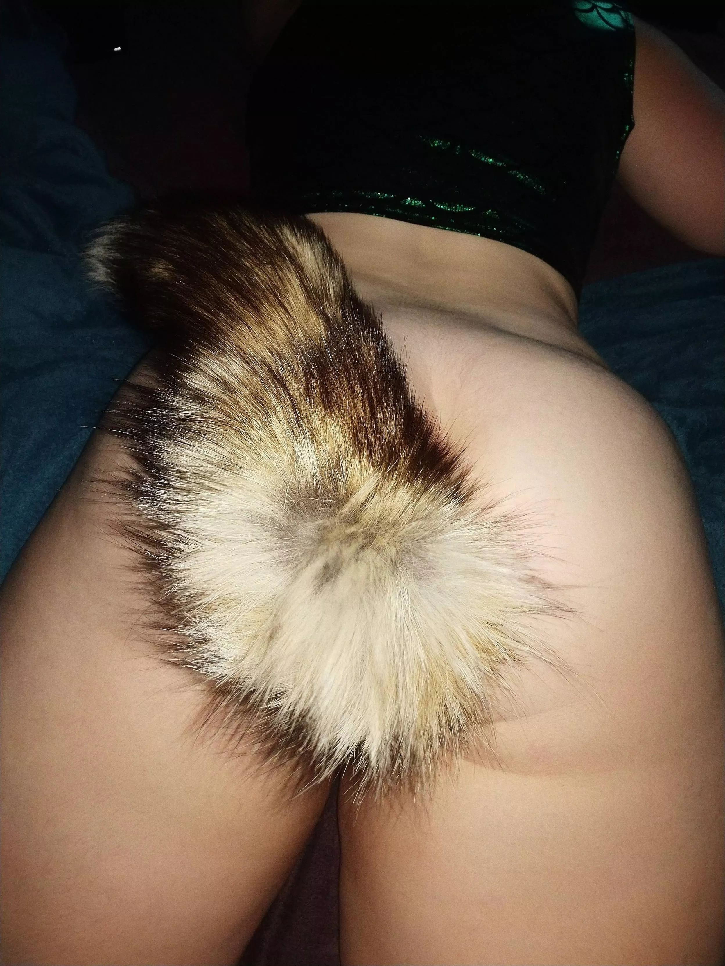 My favorite tail 😍 I need more excuses to wear it! posted by BuildABarbie