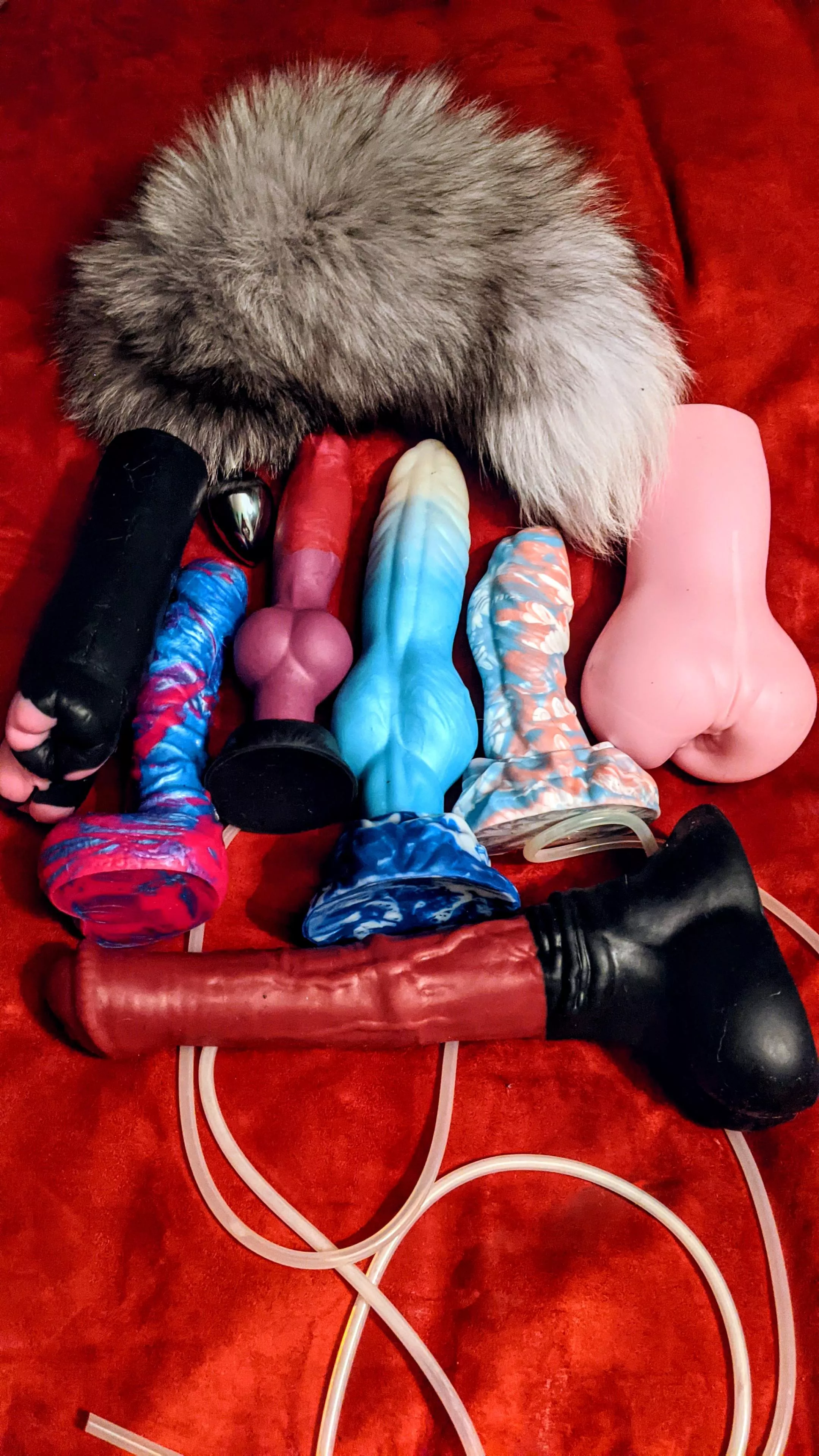 My favorites out of my collection 🥰 posted by DickedTracy