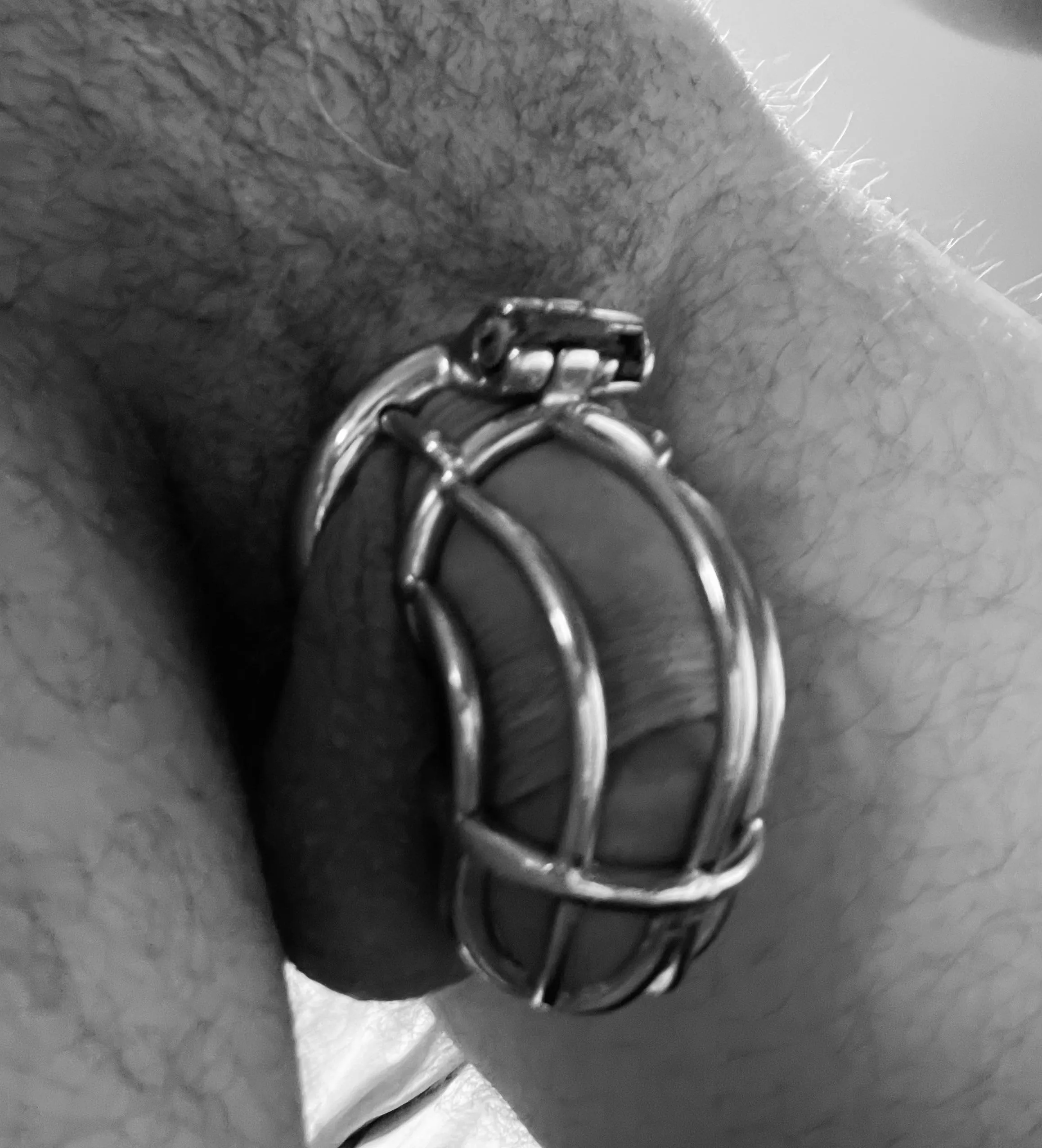 My first cage and my balls feel like they’re about to explode, kind of love it though posted by Crushsubsnotbugs