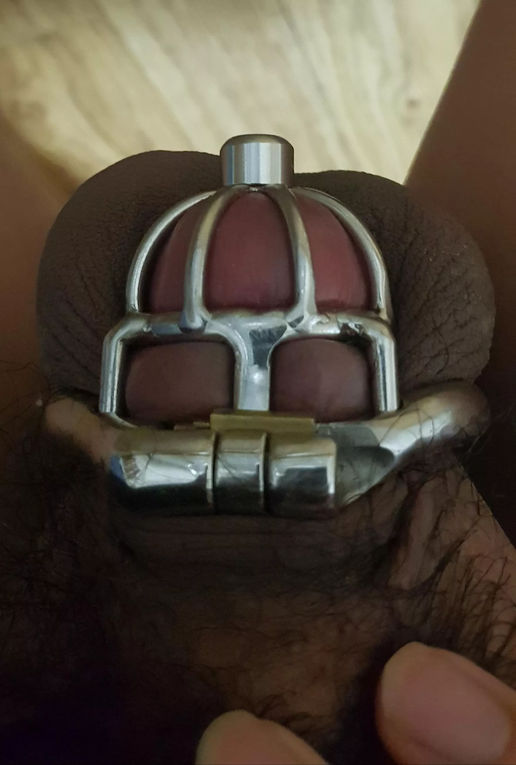 my first chastity cage with urethral catheter! It look like a crown! posted by macolite