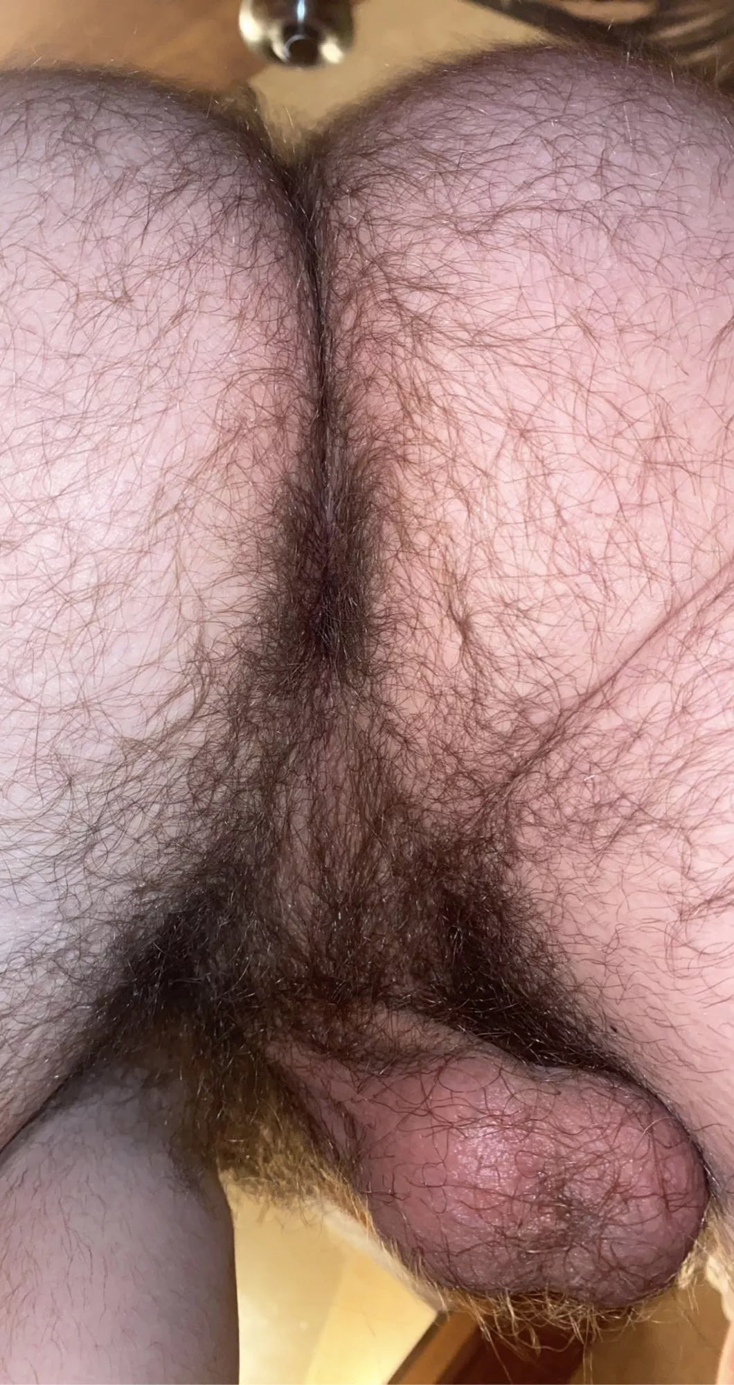 My first post. Enjoy my hairy ass and balls 🥵 posted by dillonkco