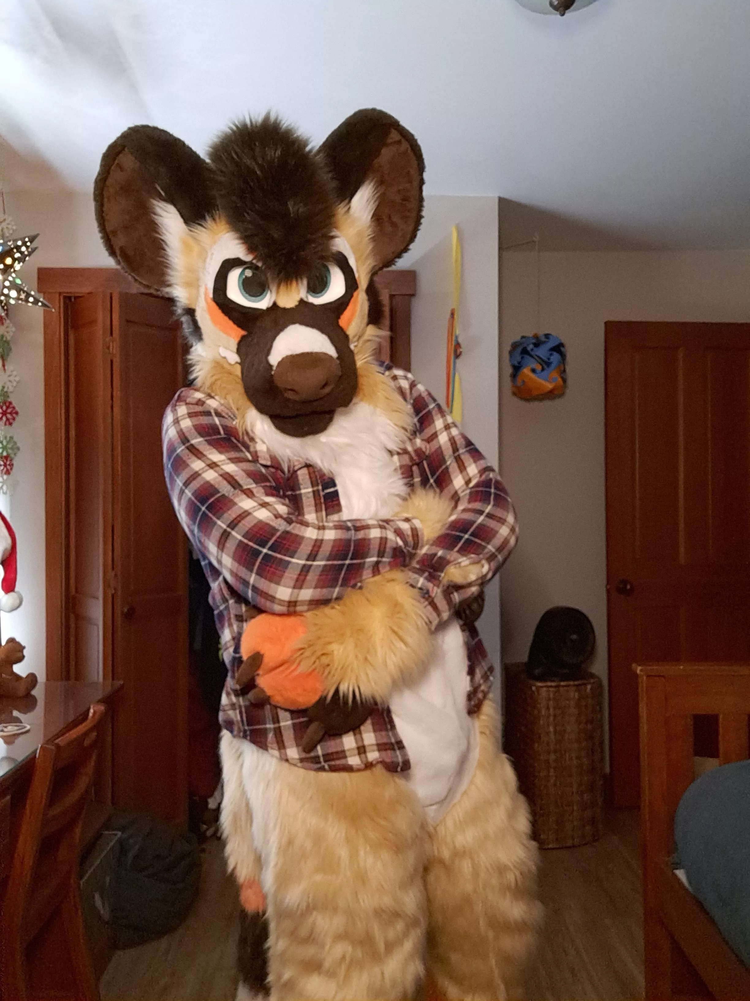 My fullsuit arrived today! posted by Howardthinks