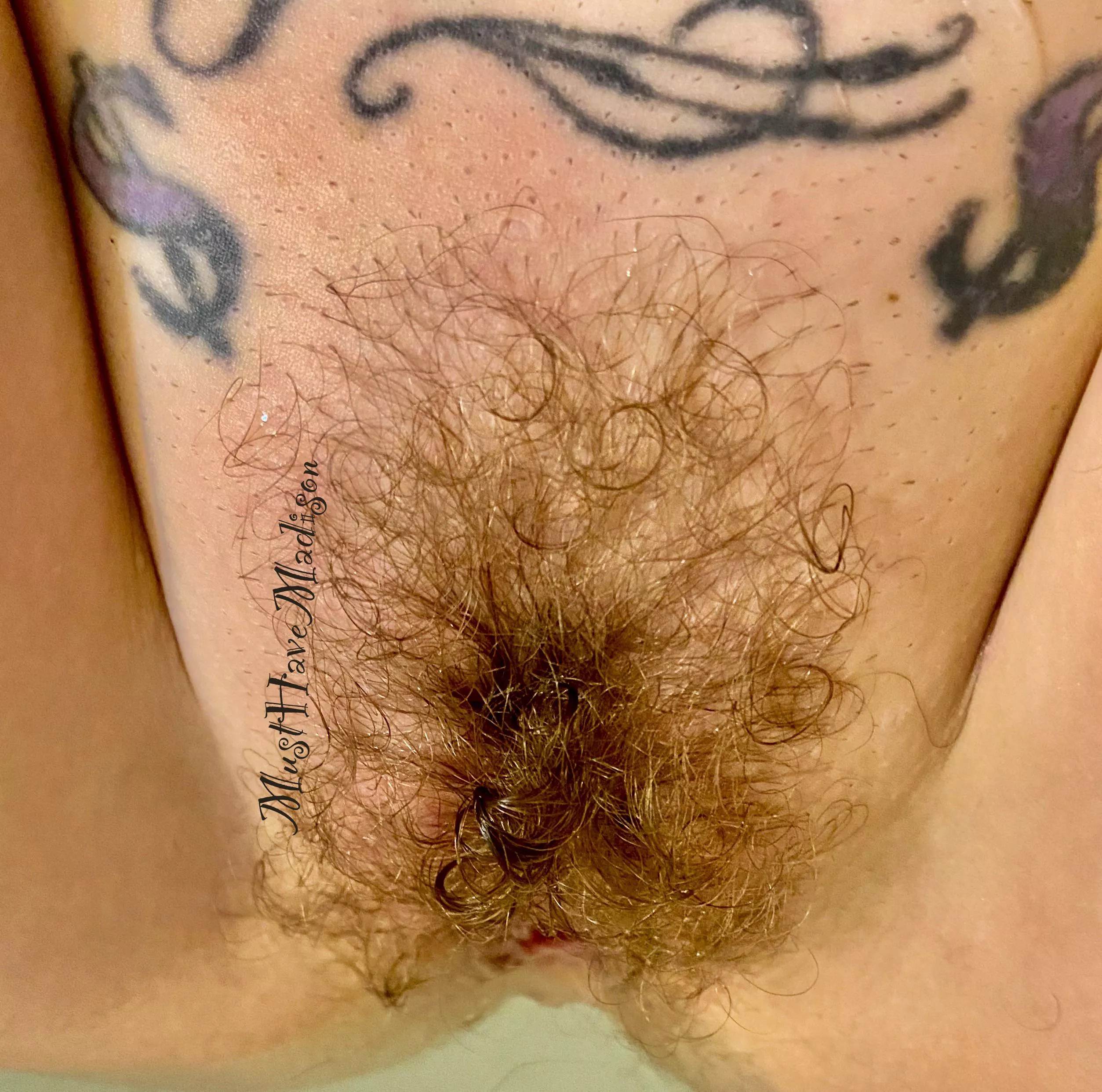 My GA Peach 🍑 Fuck Hole is getting “Really Fuzzy” for winter 🥶 posted by Musthavemadison