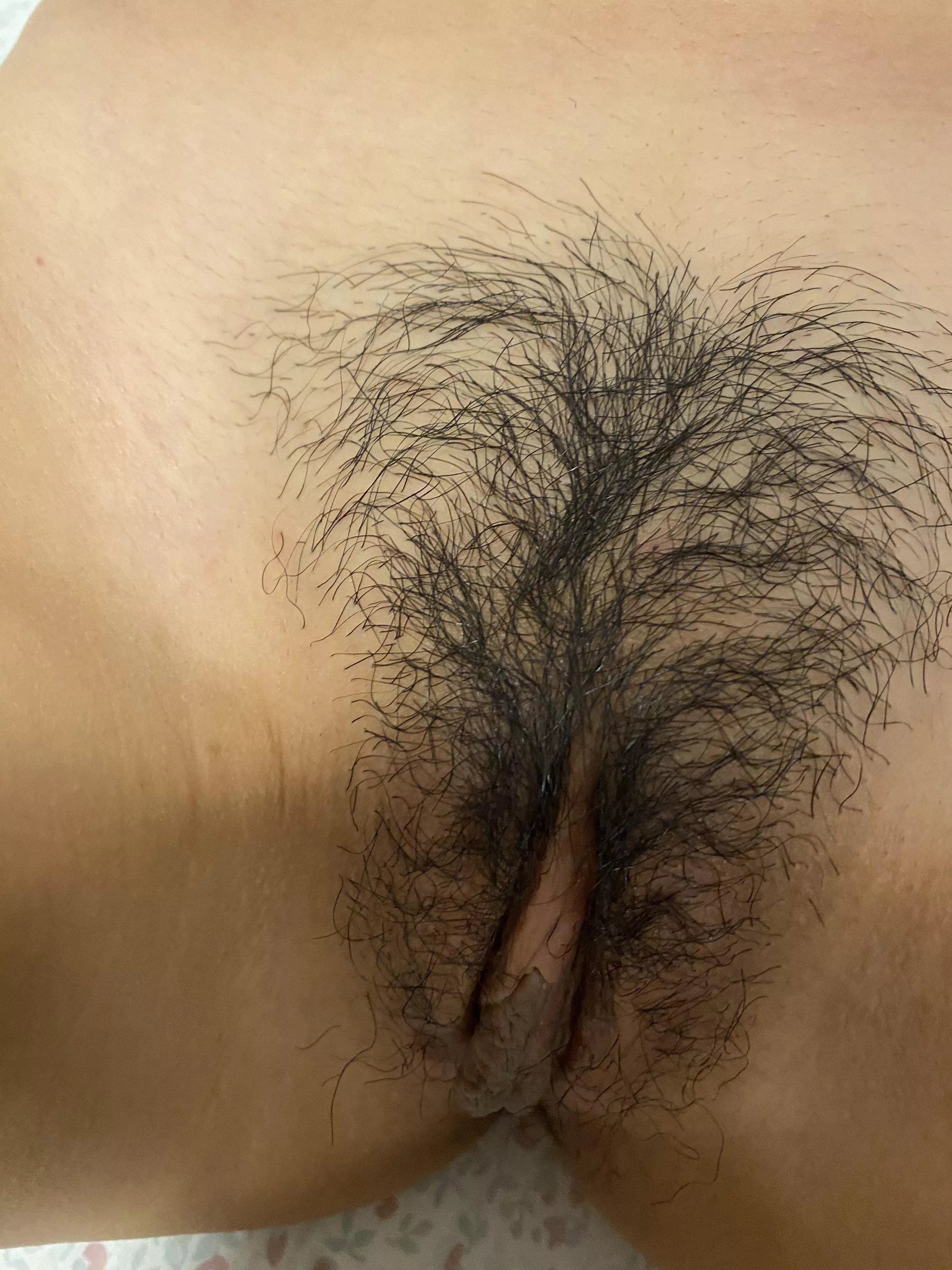 My hairy Asian pussy â™¥ï¸ posted by send_nudes_101