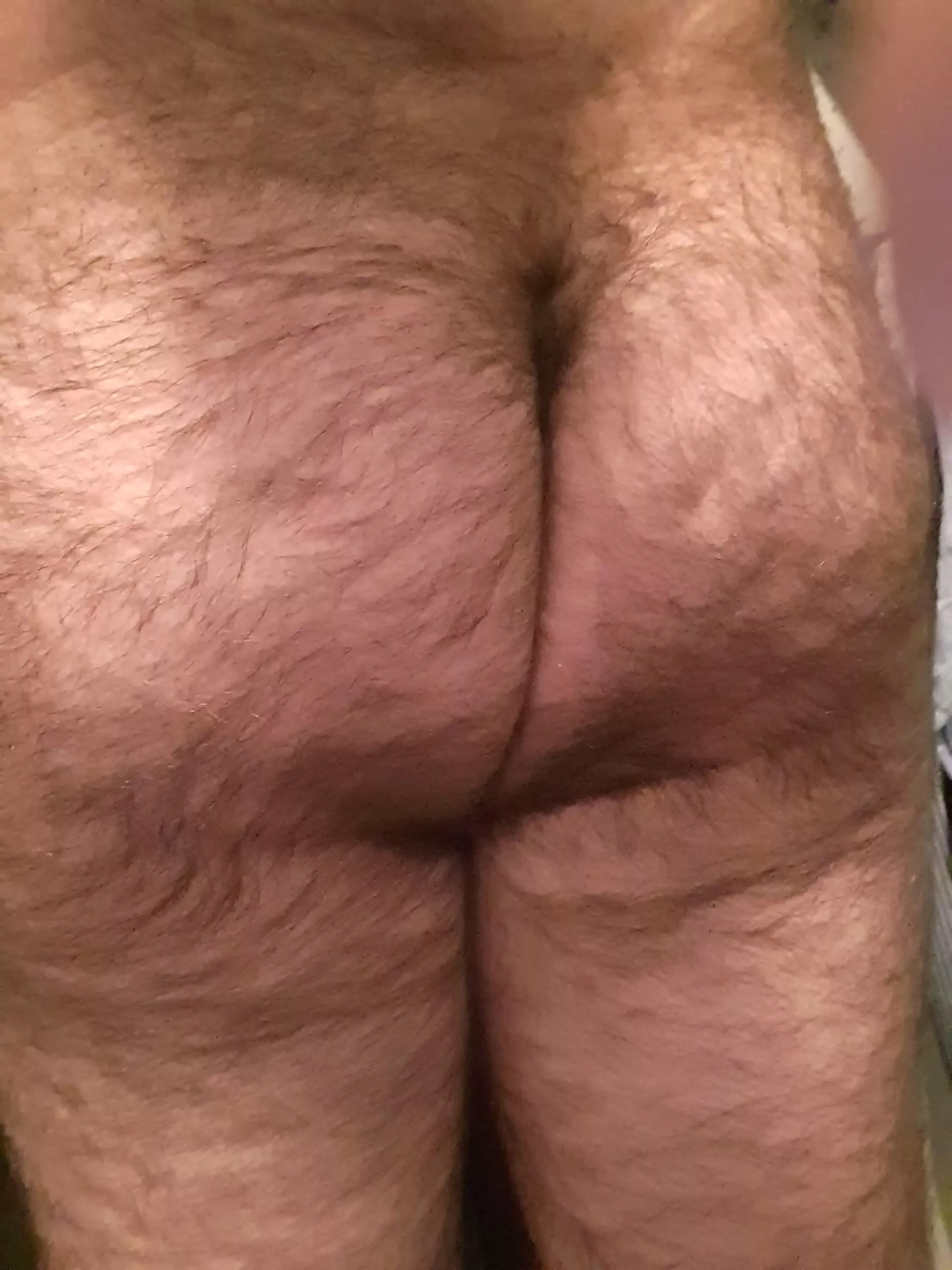 My hairy ass posted by reknekttt