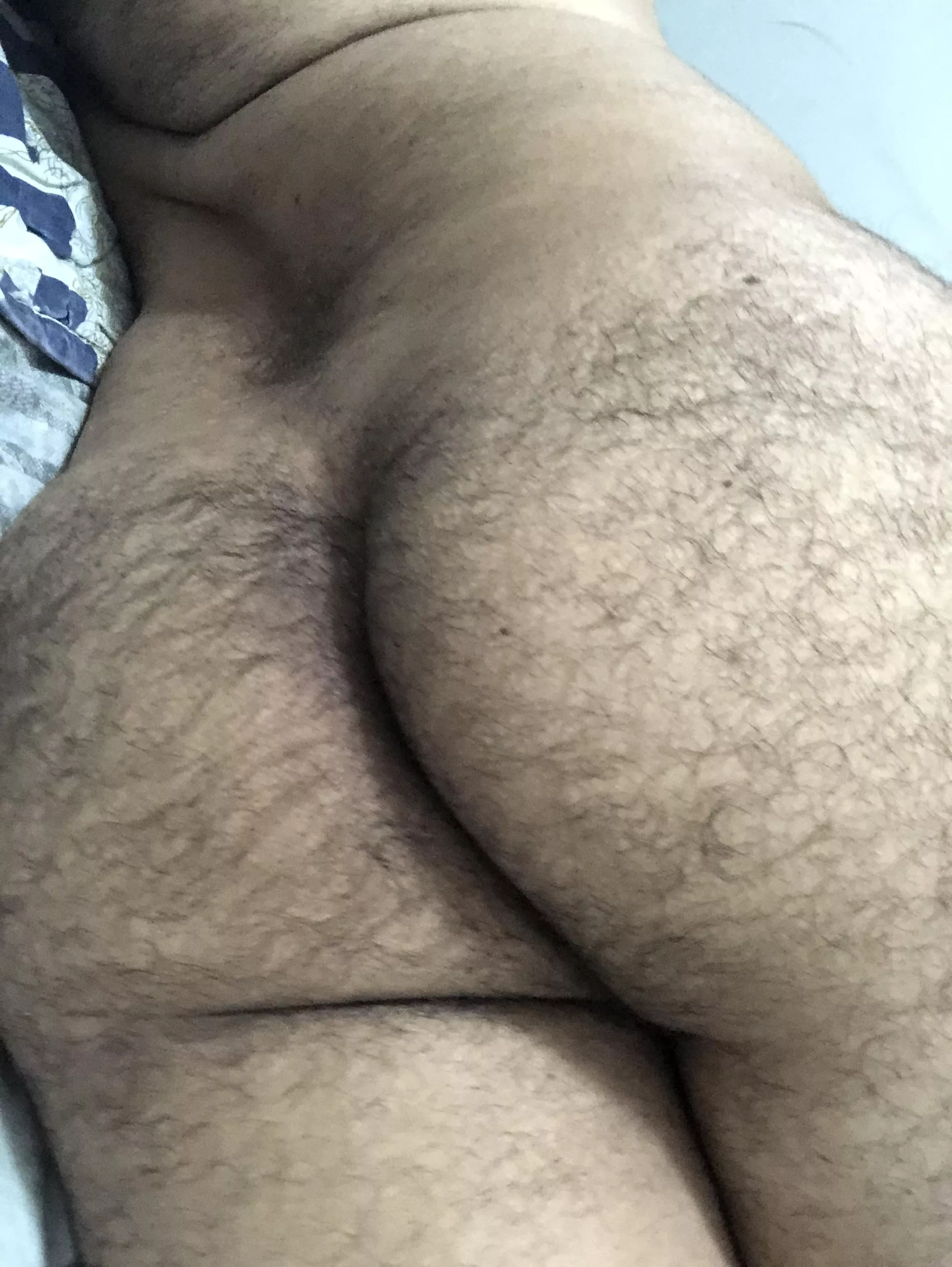 My hairy ass posted by DClmnrz