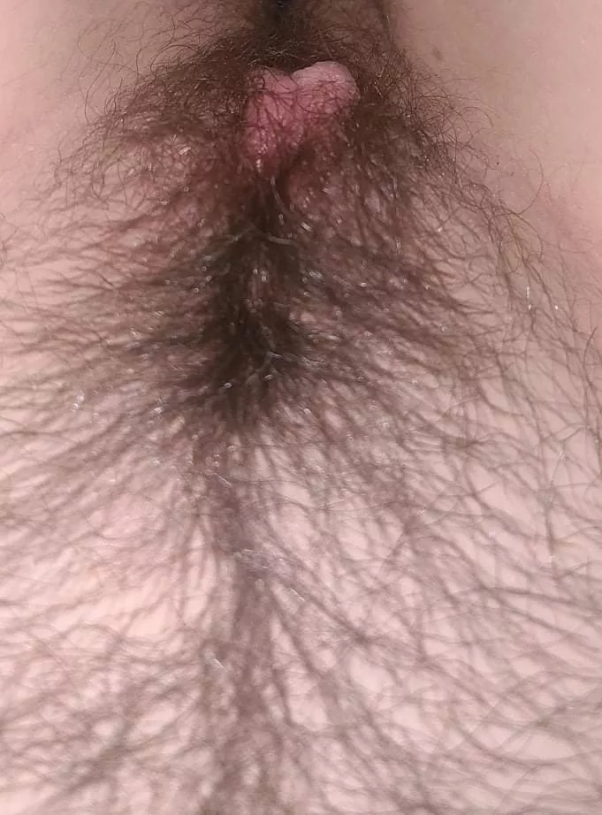 :) my hairy pussy posted by Wild_Kangaroo_2994